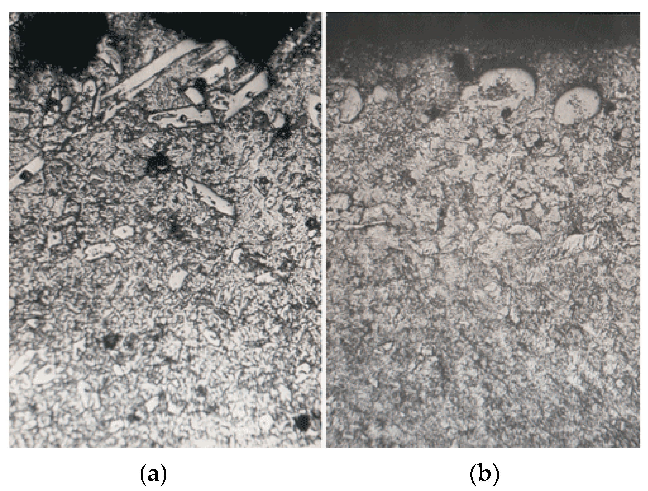 Coatings 13 00514 g015