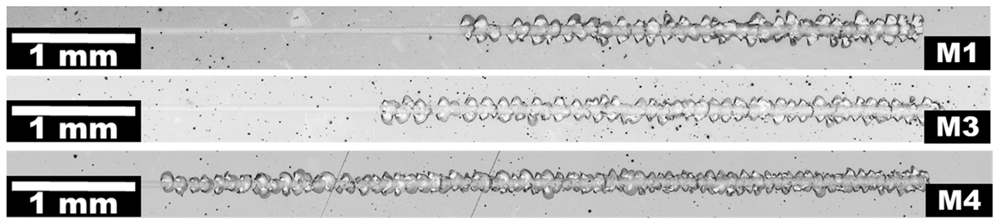 Coatings 13 00515 g001