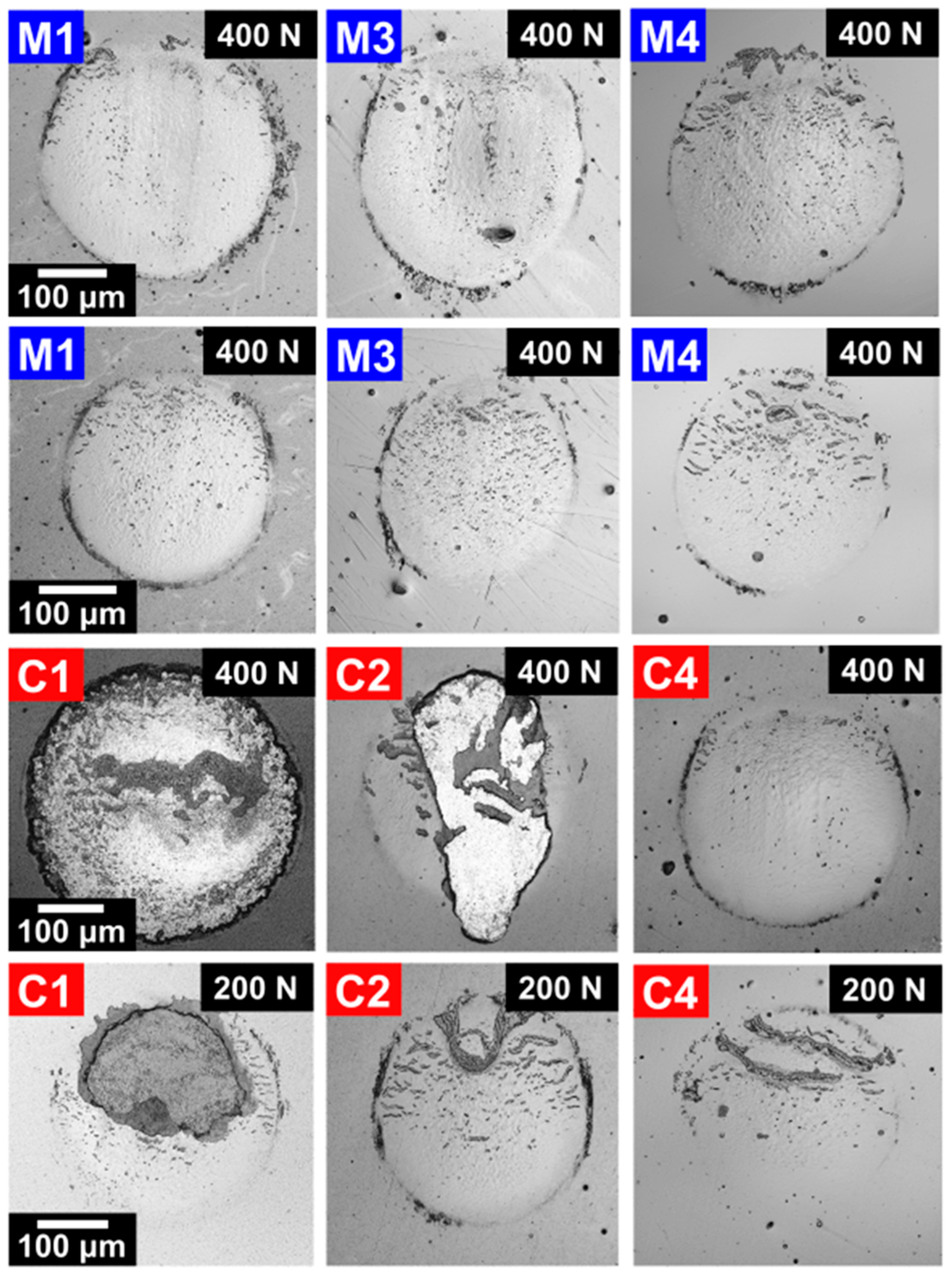 Coatings 13 00515 g005