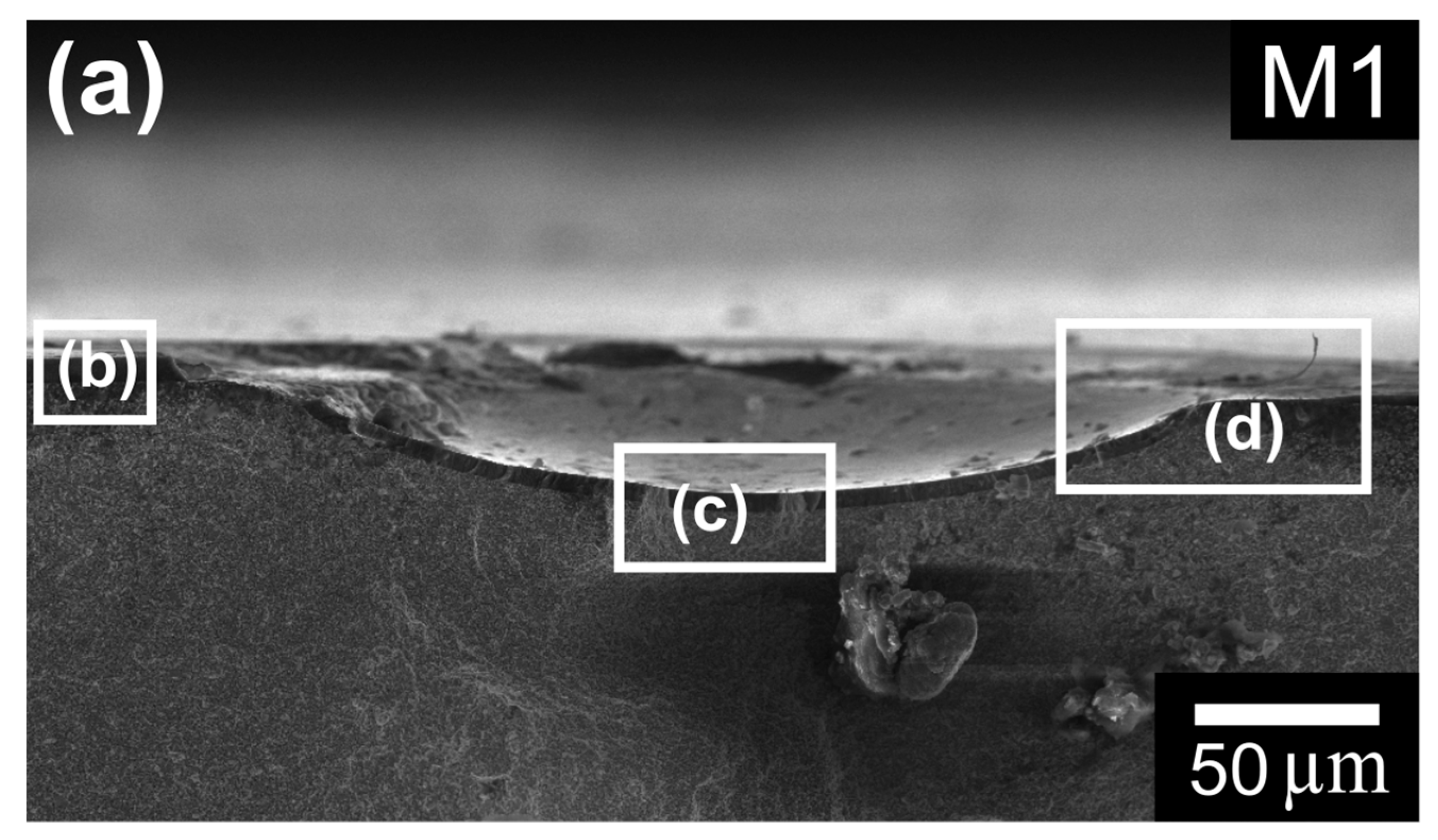 Coatings 13 00515 g007a