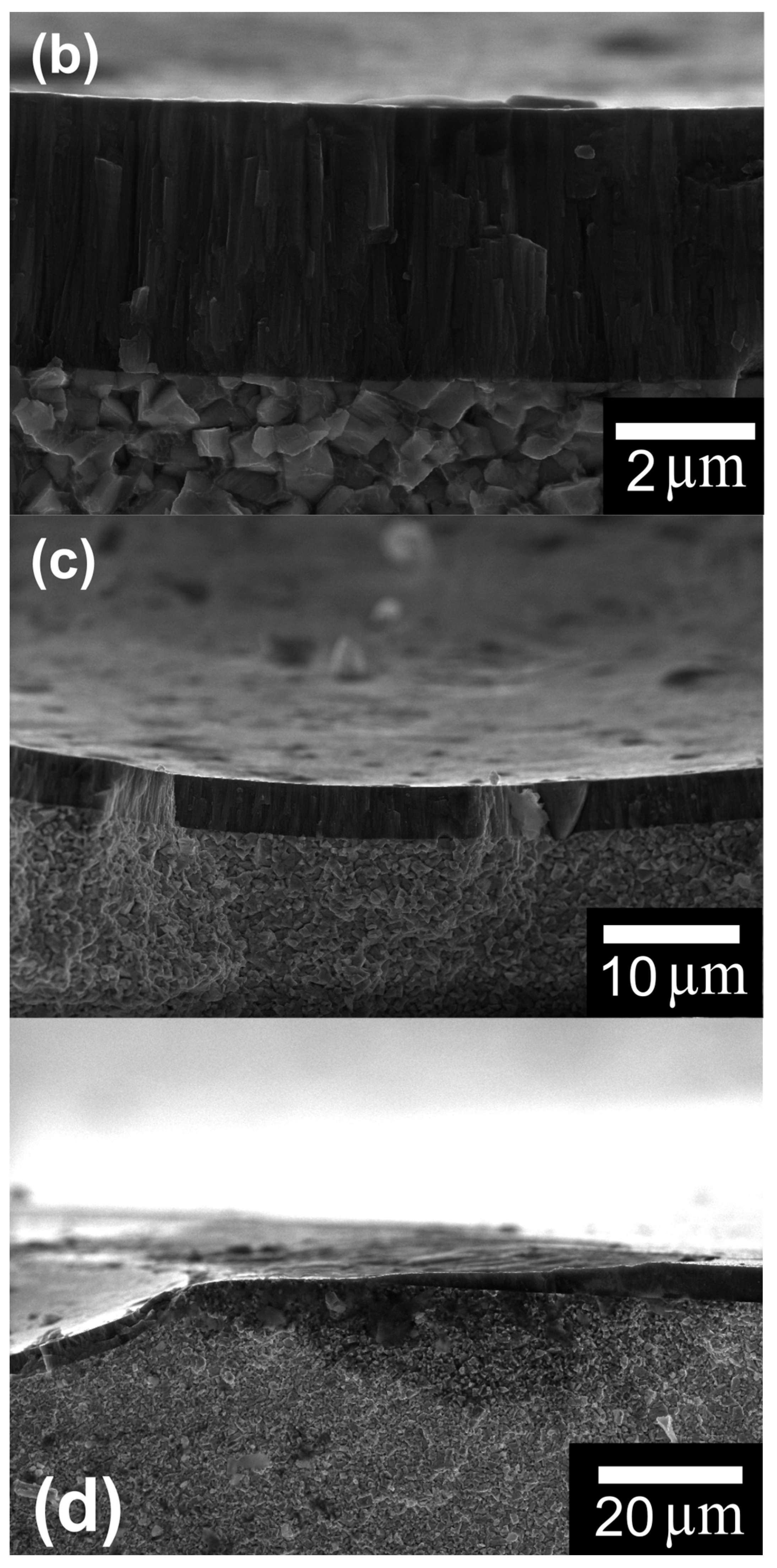Coatings 13 00515 g007b