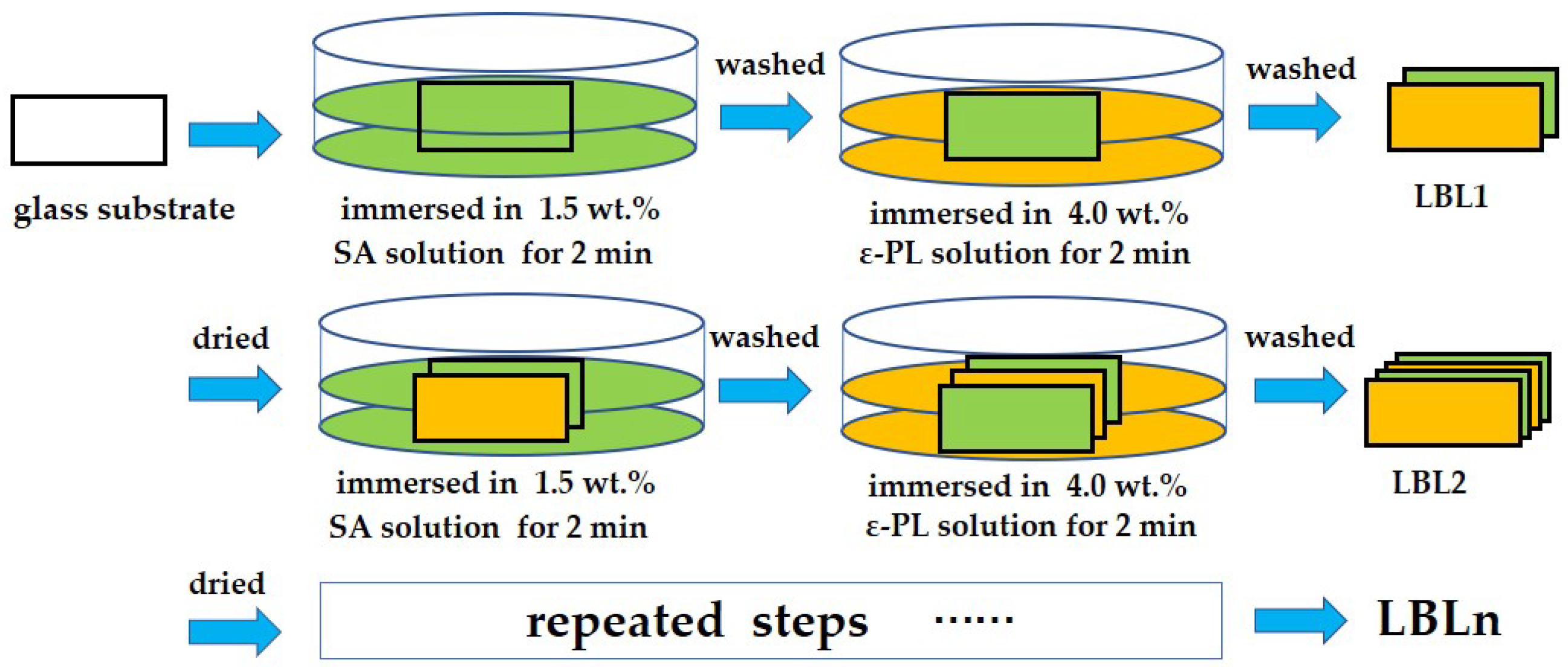 Coatings 13 00516 g001
