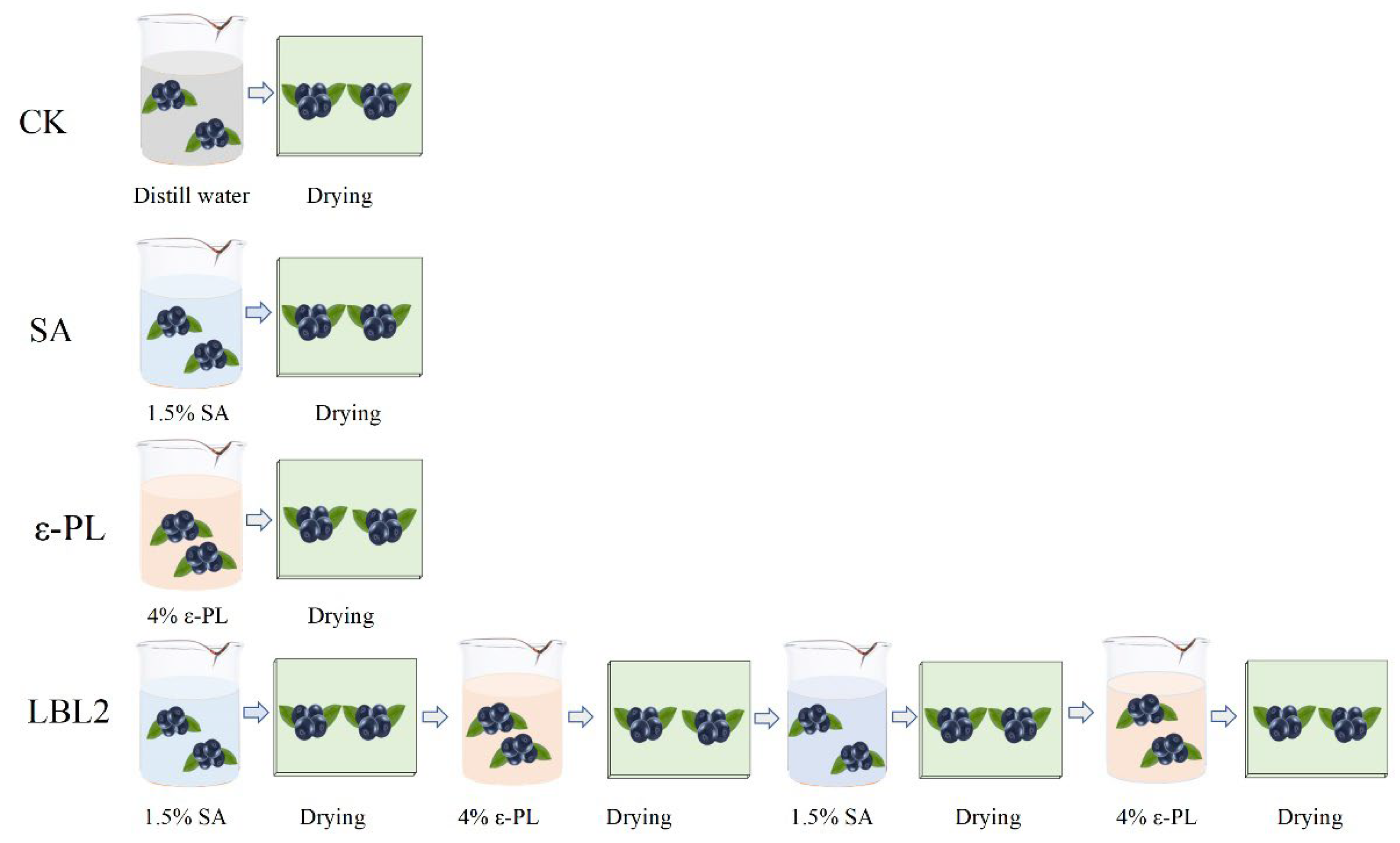 Coatings 13 00516 g002