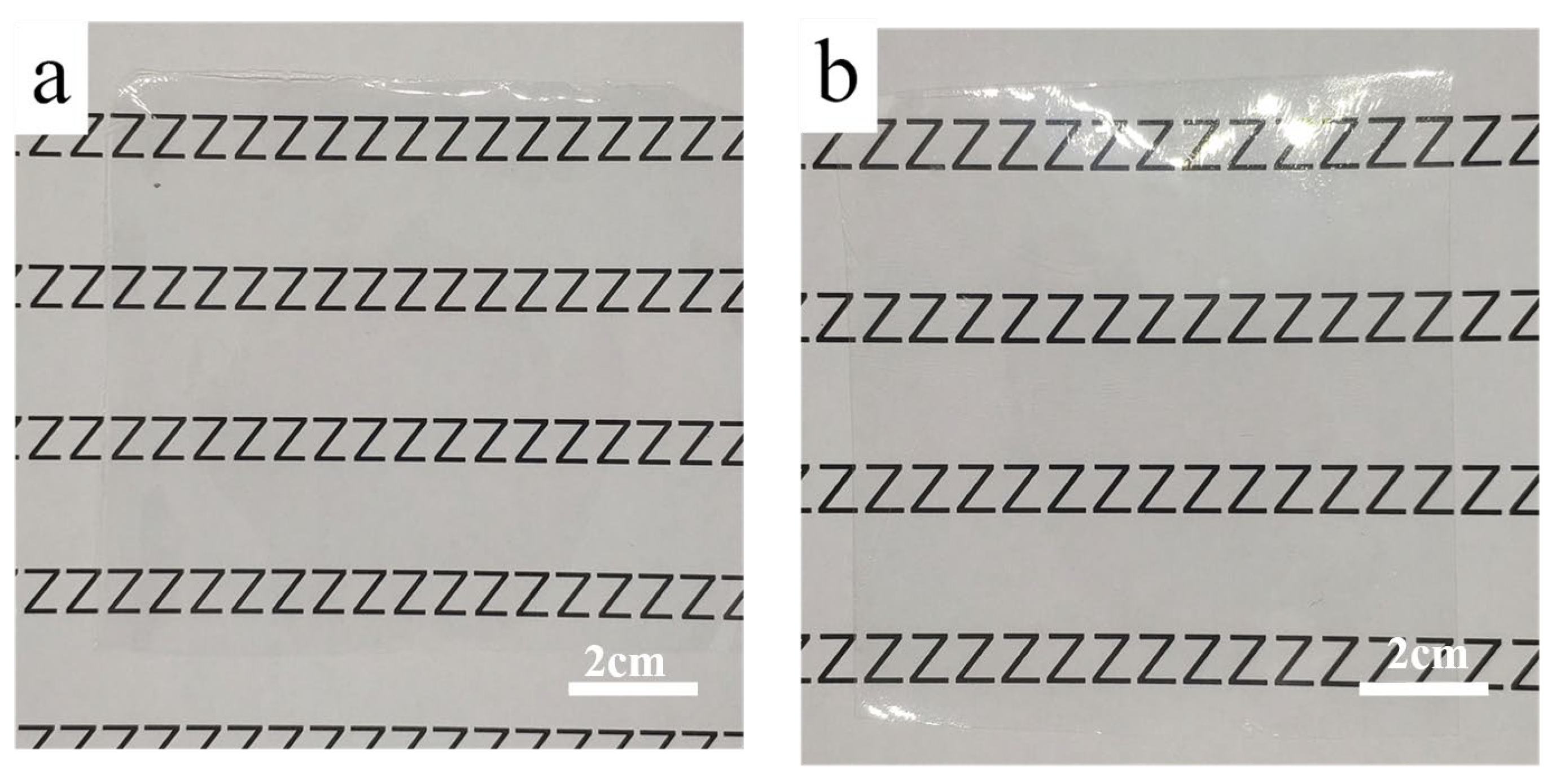 Coatings 13 00516 g005