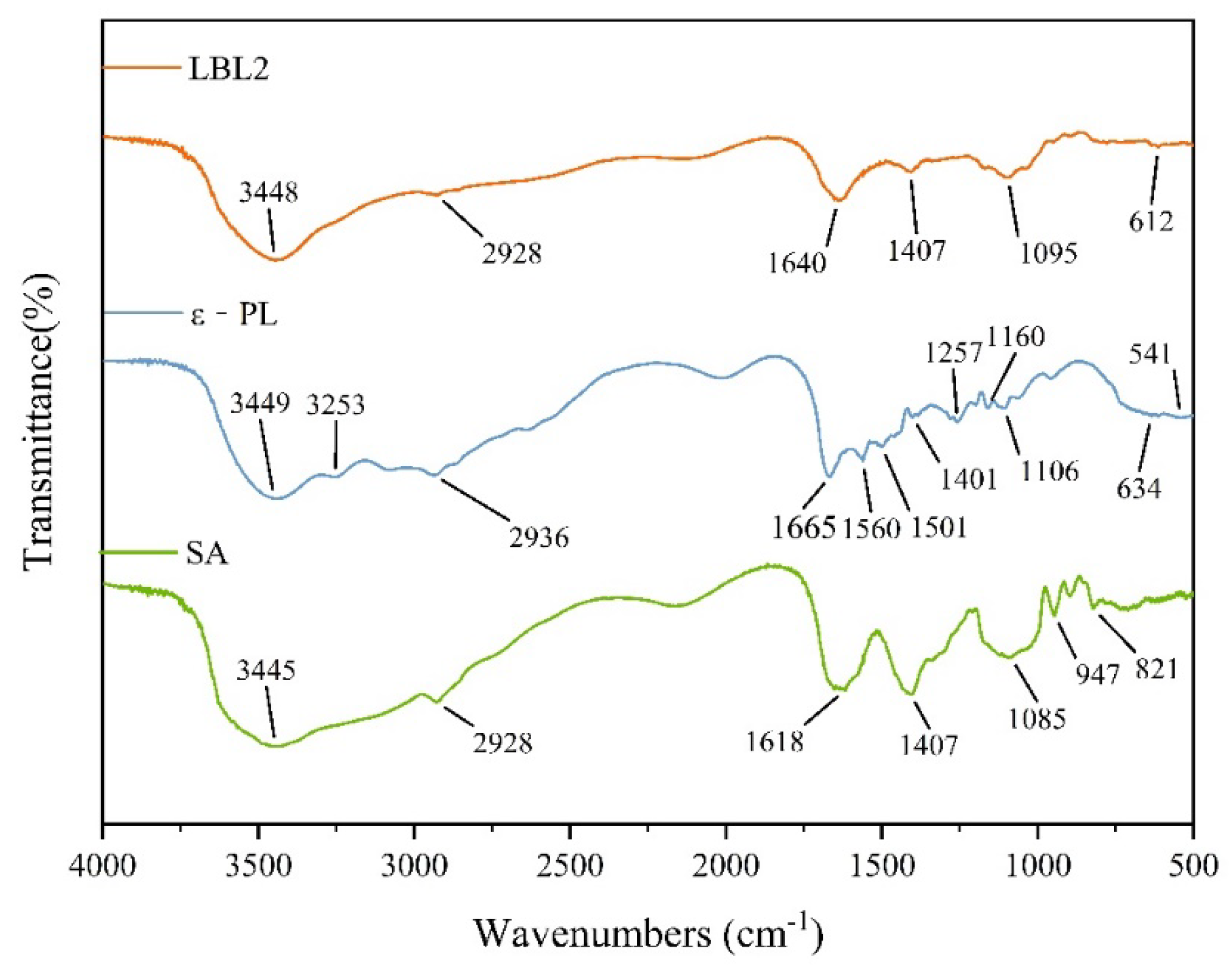 Coatings 13 00516 g008