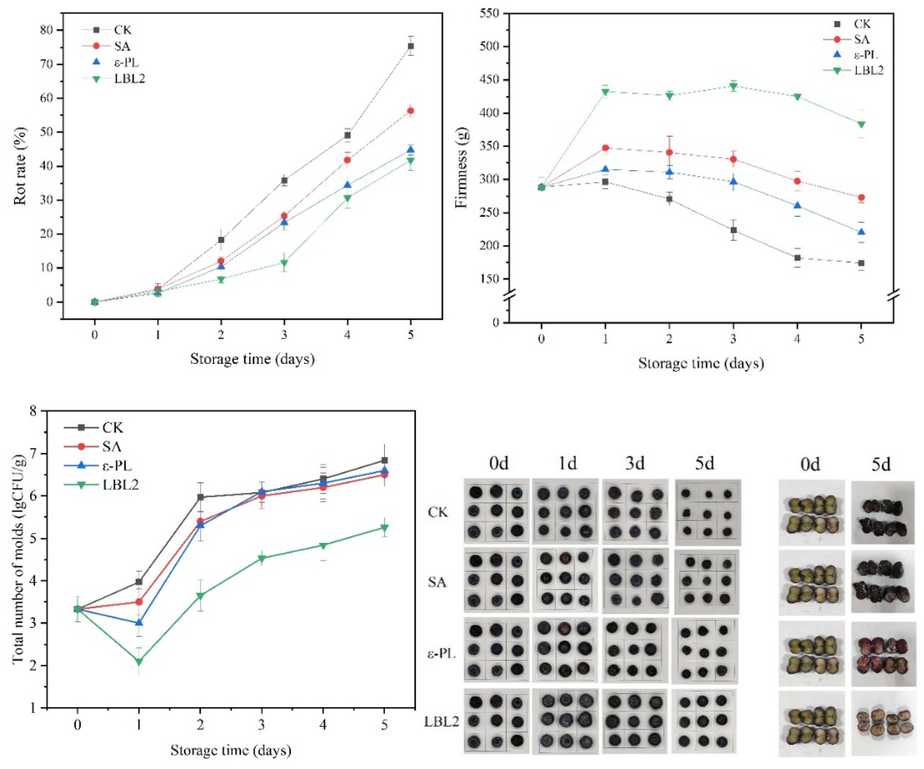 Coatings 13 00516 g013
