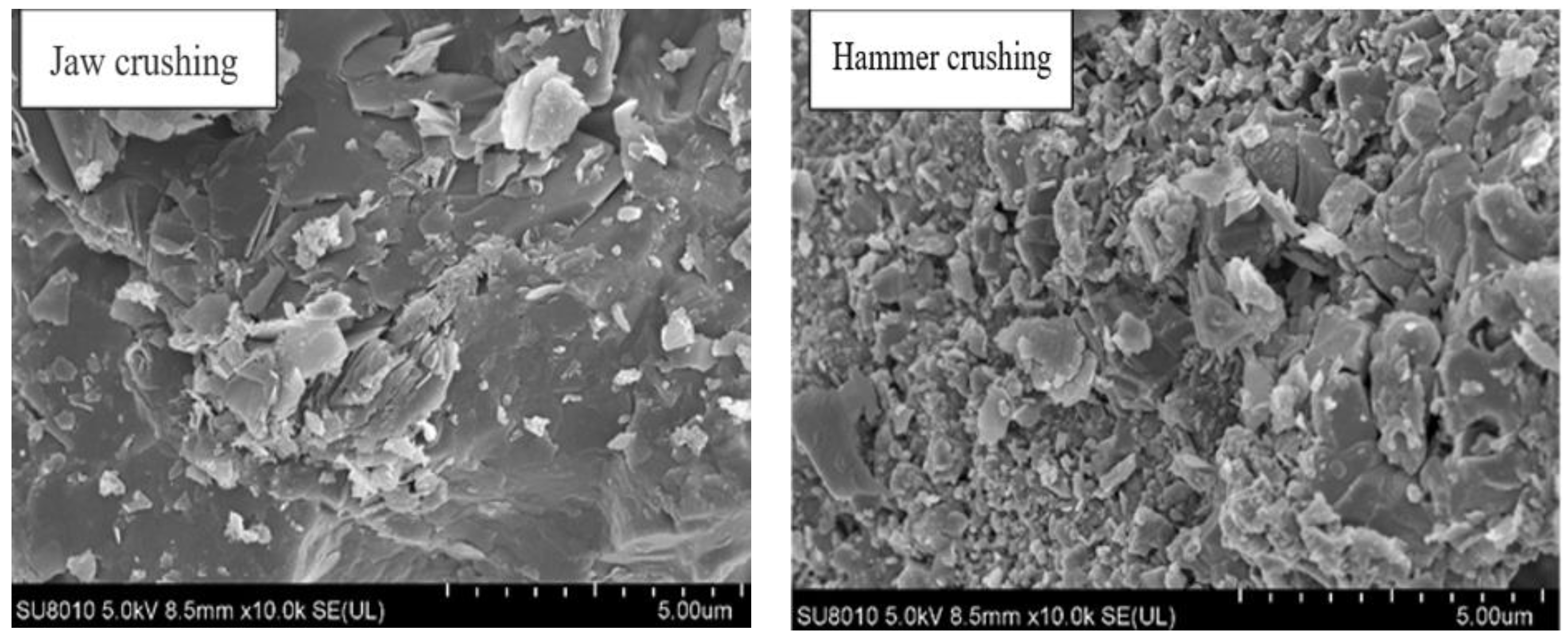 Coatings 13 00518 g003 550