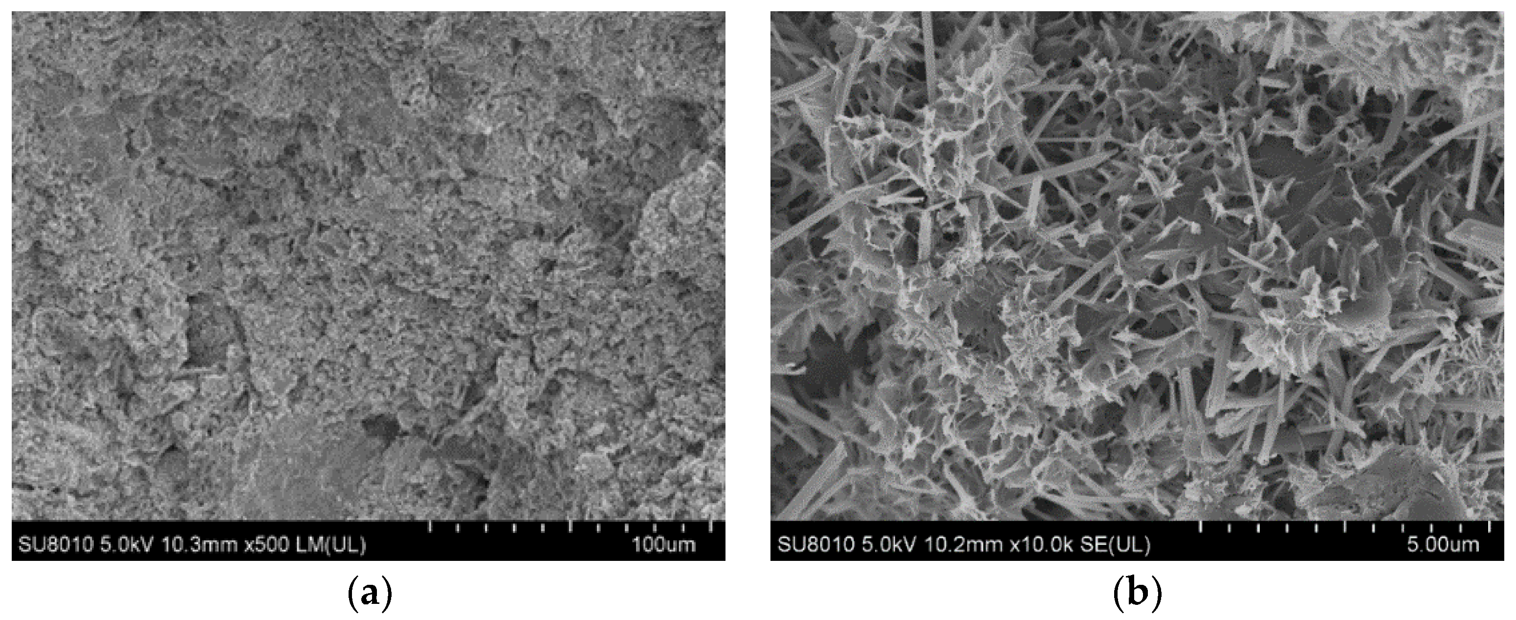 Coatings 13 00518 g009 550