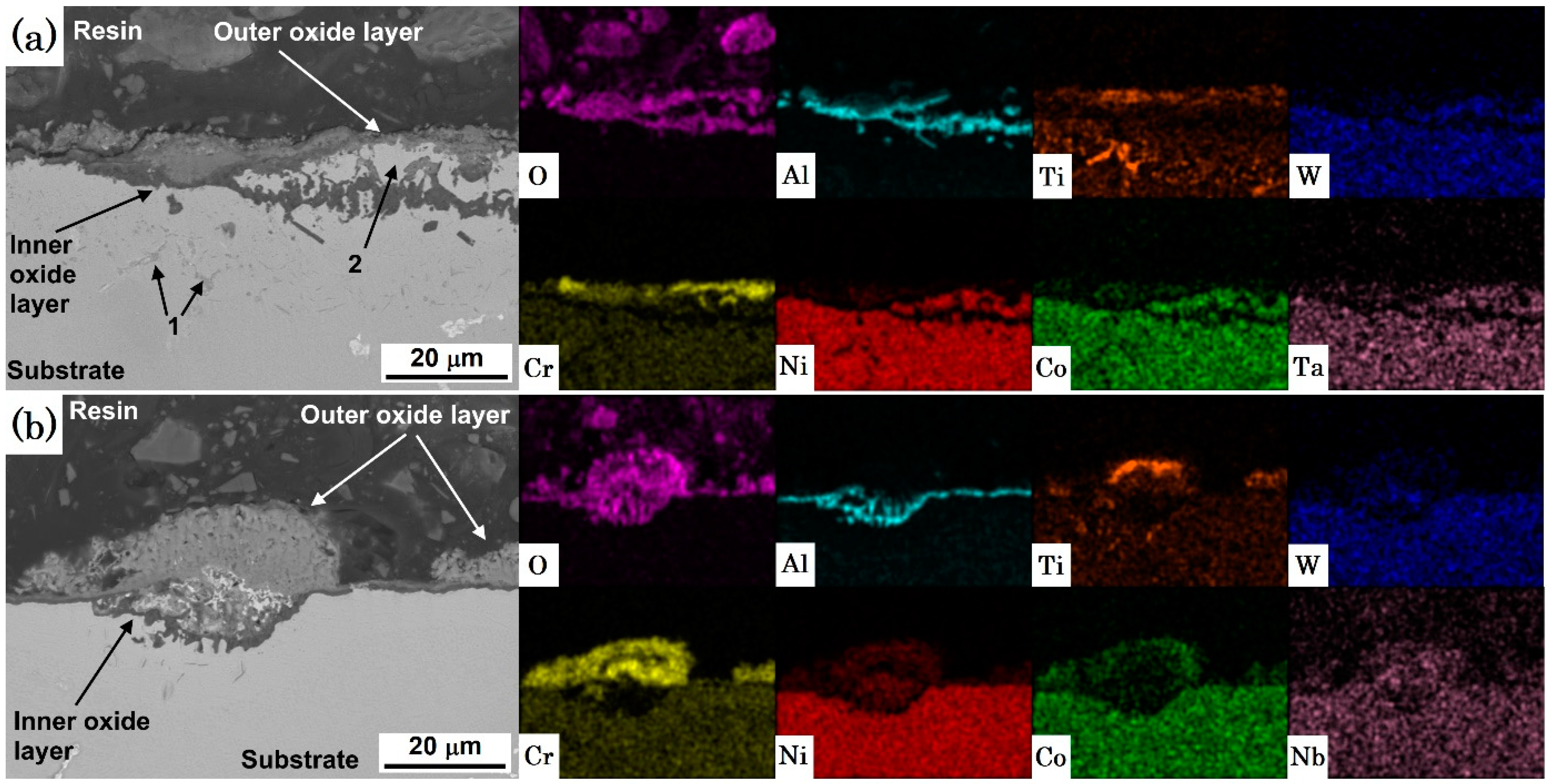 Coatings 13 00519 g005 Coatings 13 00519 g005