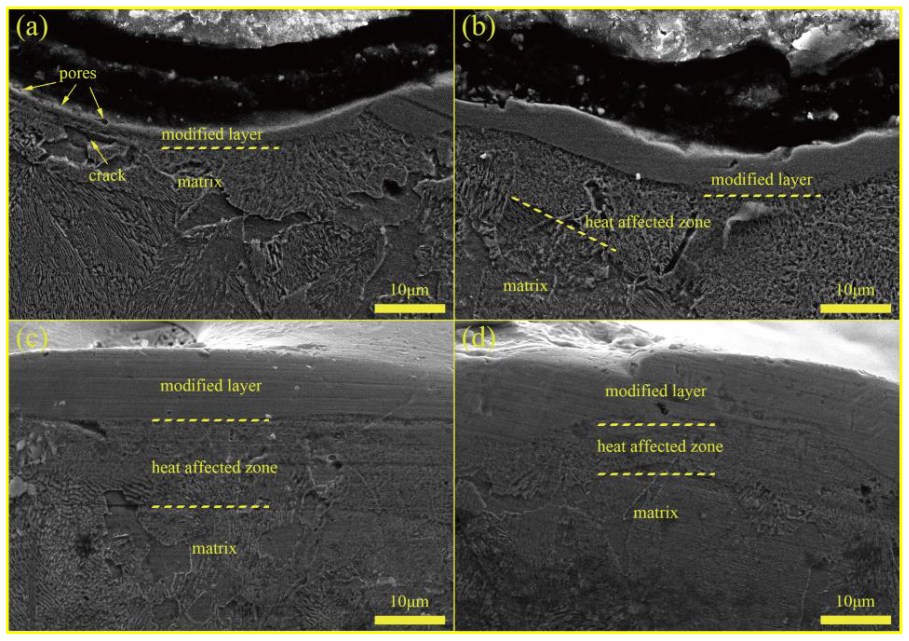 Coatings 13 00521 g002 Coatings 13 00521 g002