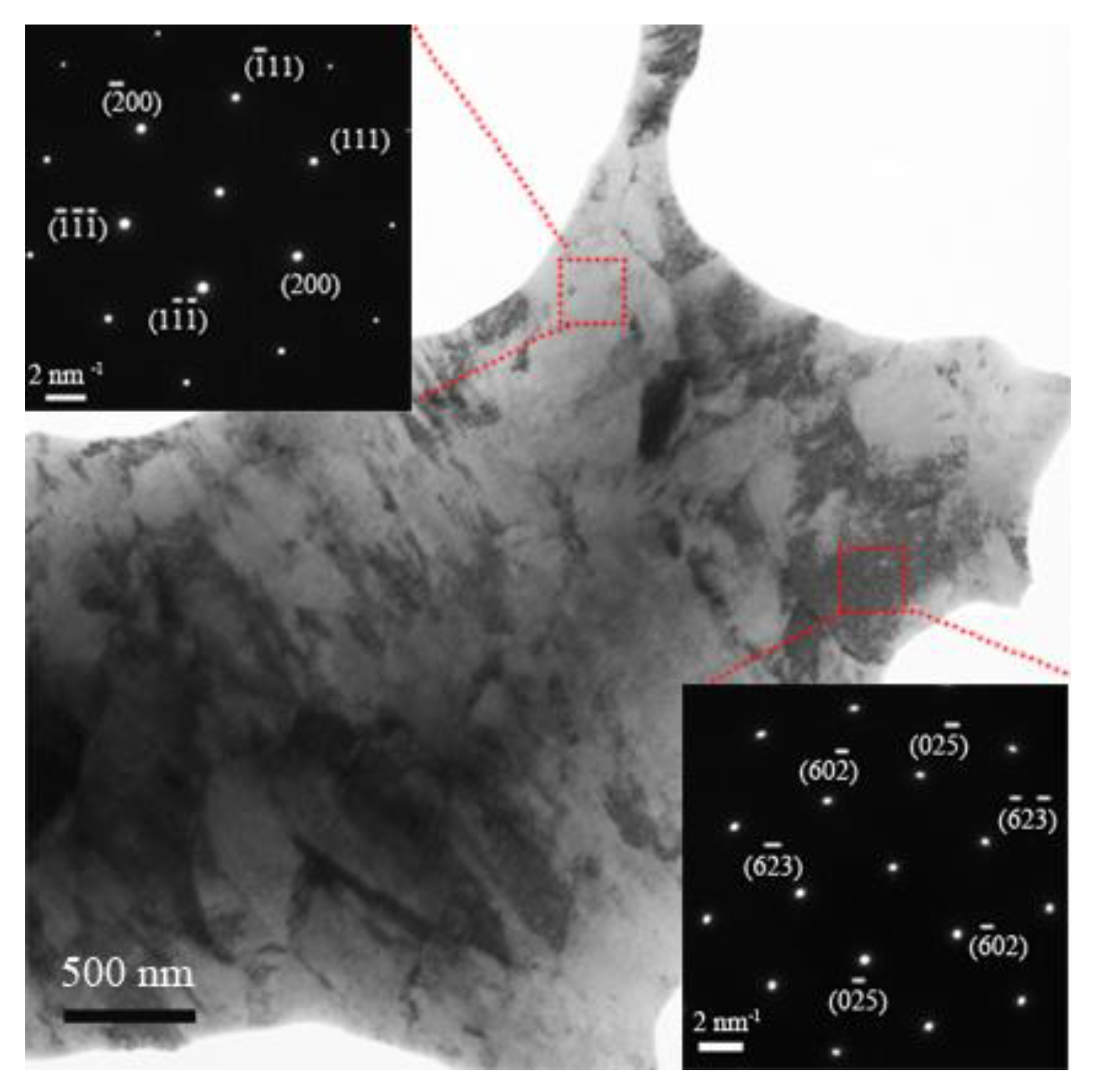Coatings 13 00521 g007 Coatings 13 00521 g007