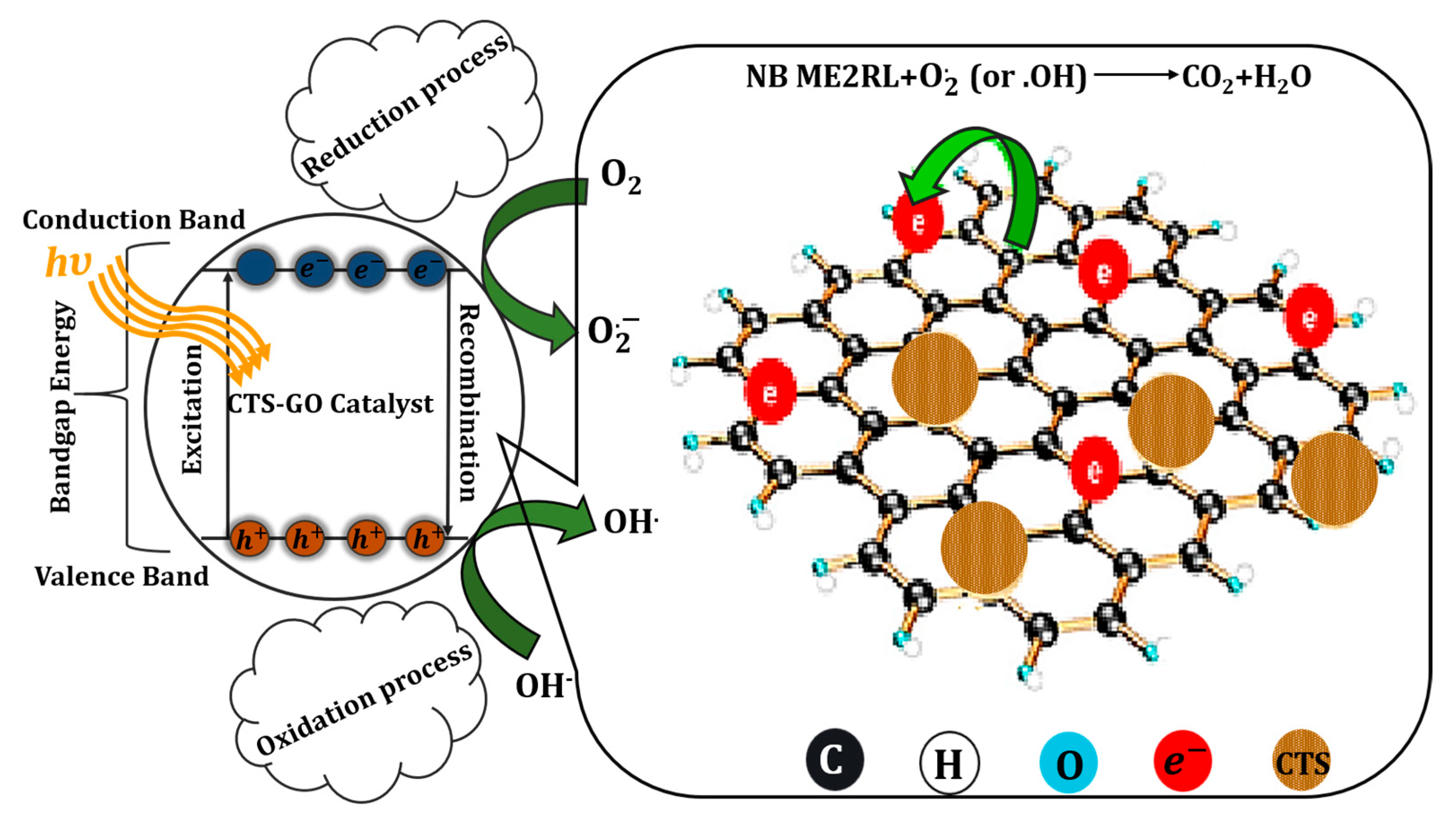Coatings 13 00522 g006