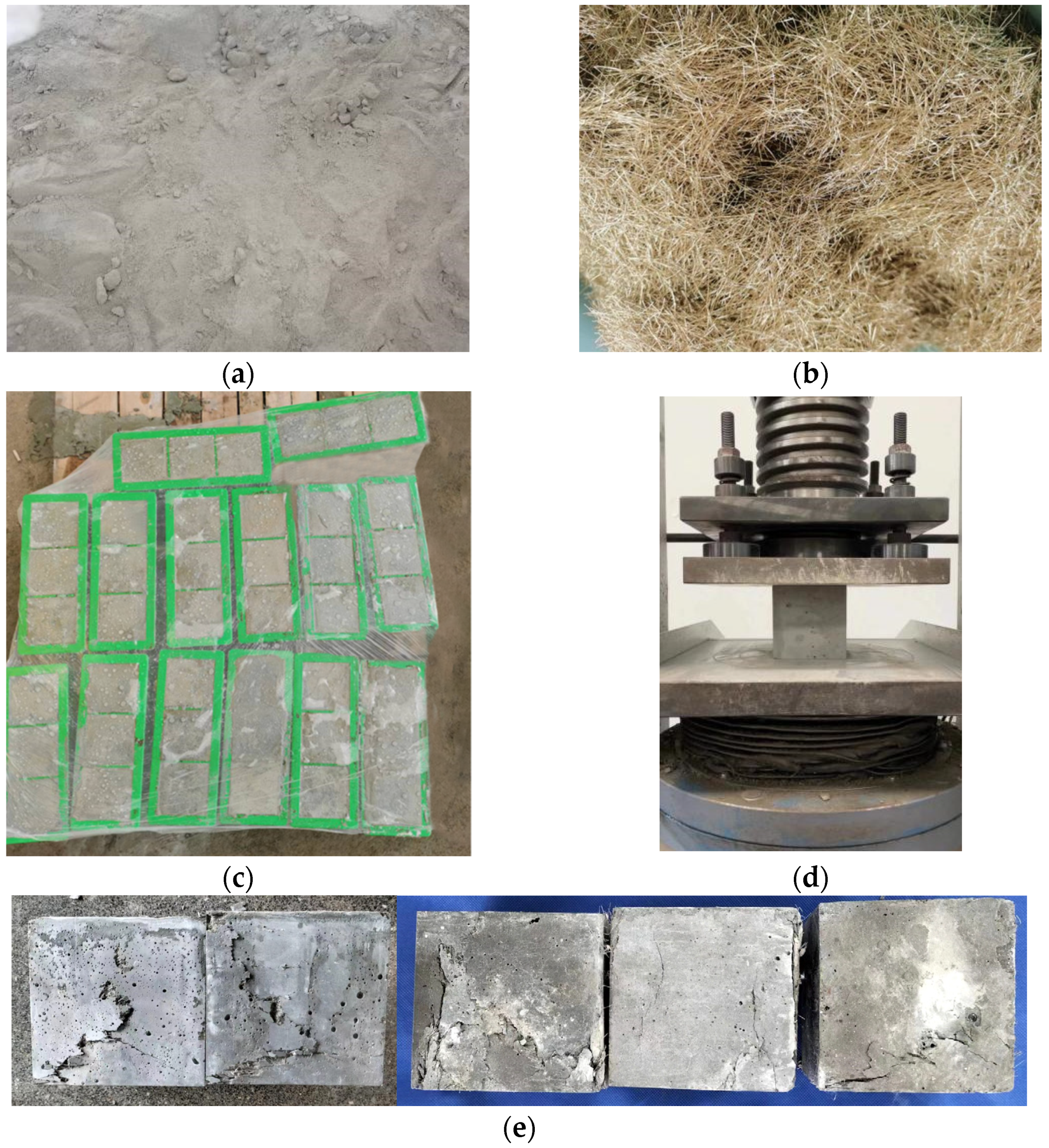 Coatings 13 00525 g006 550