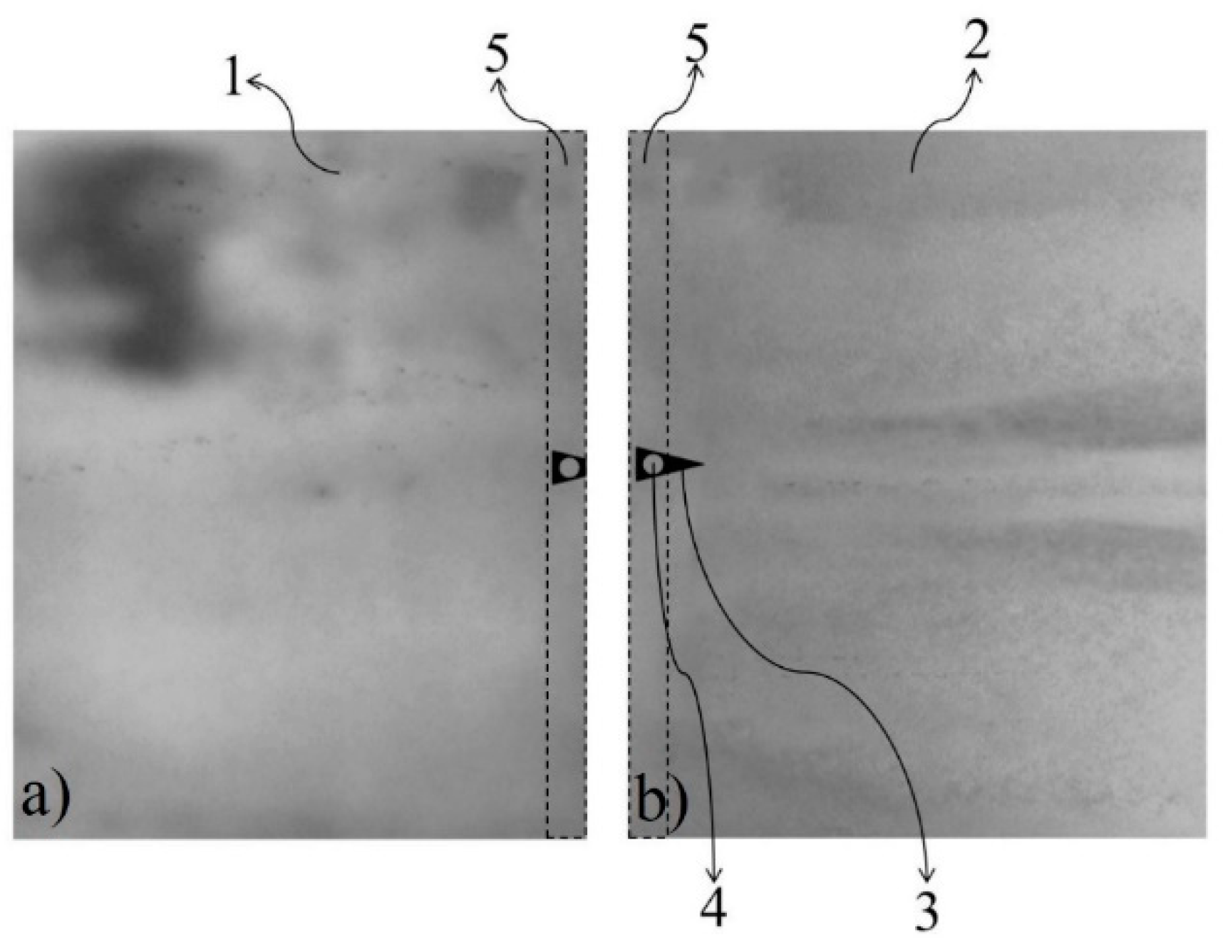 Coatings 13 00528 g007