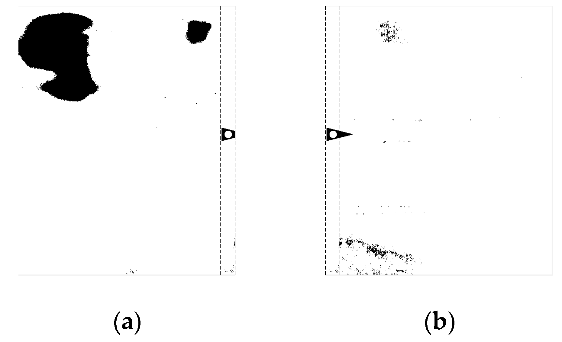 Coatings 13 00528 g008