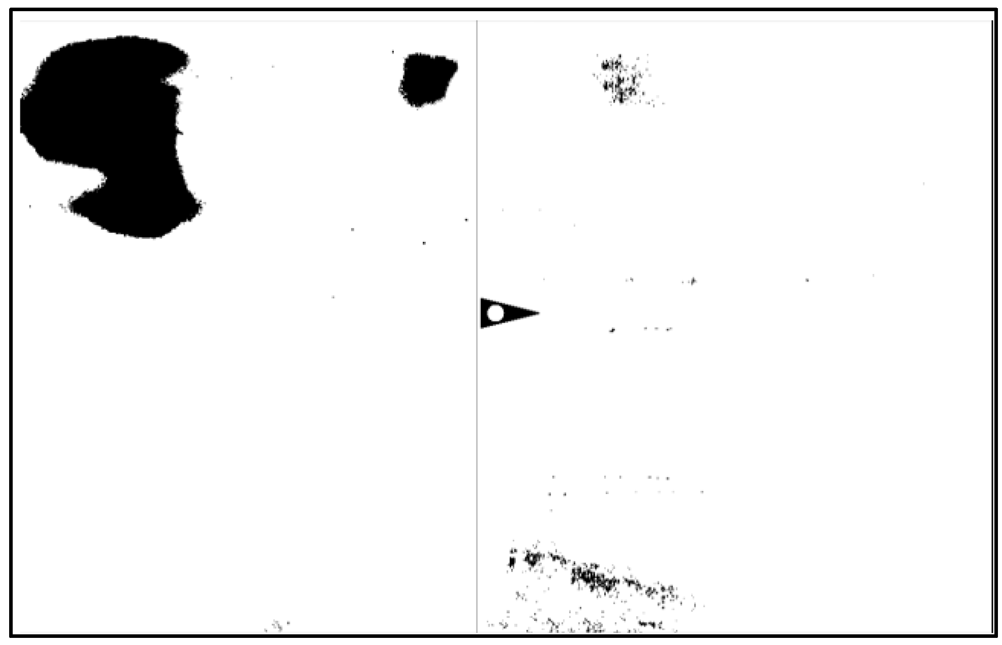Coatings 13 00528 g010