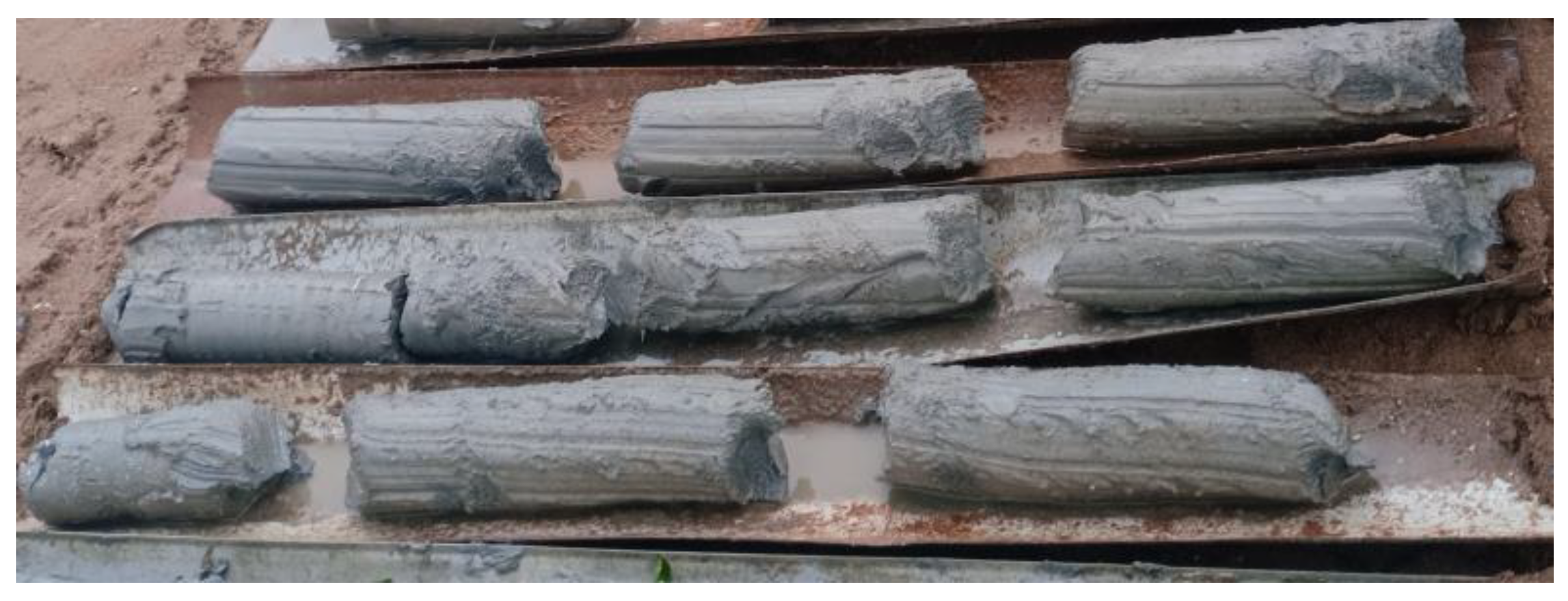 Coatings 13 00532 g001 550