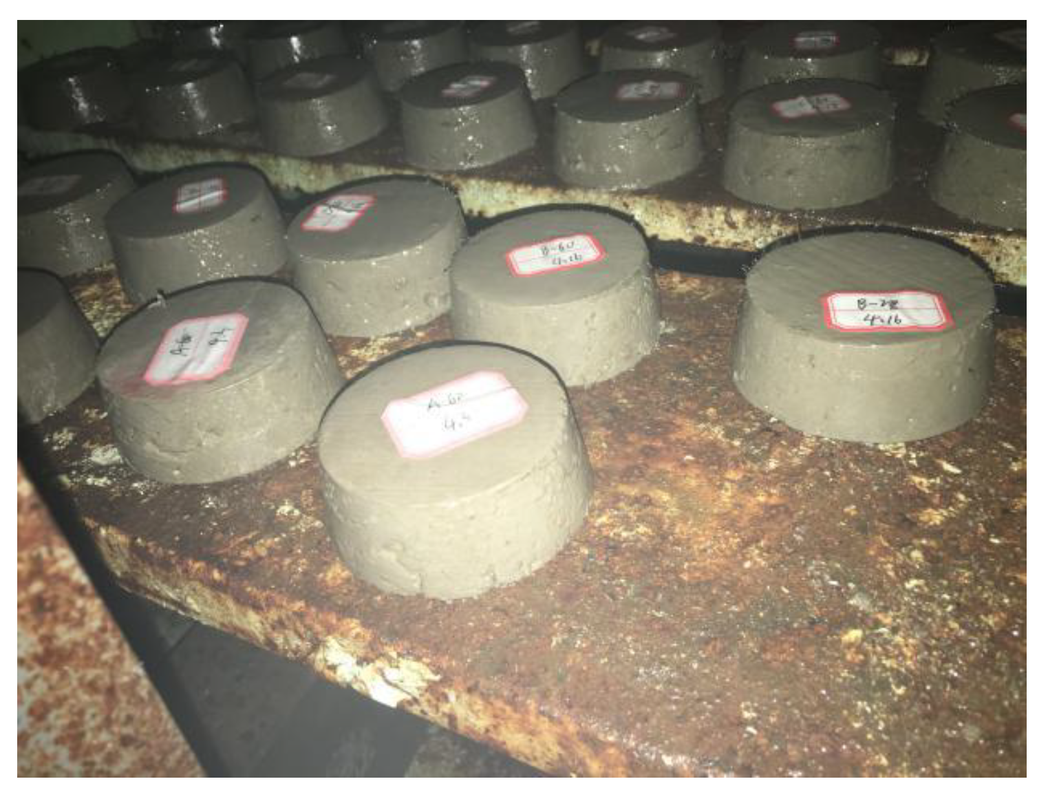 Coatings 13 00532 g004 550