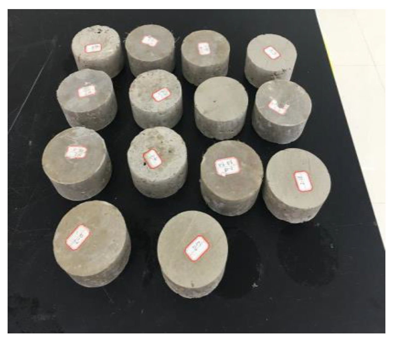 Coatings 13 00532 g005 550