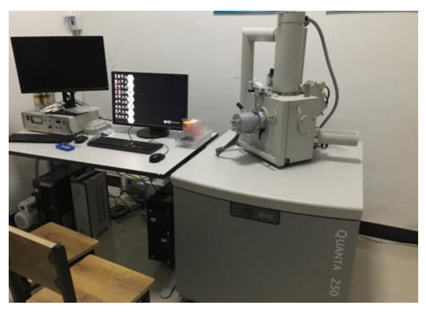 Coatings 13 00532 g008 550