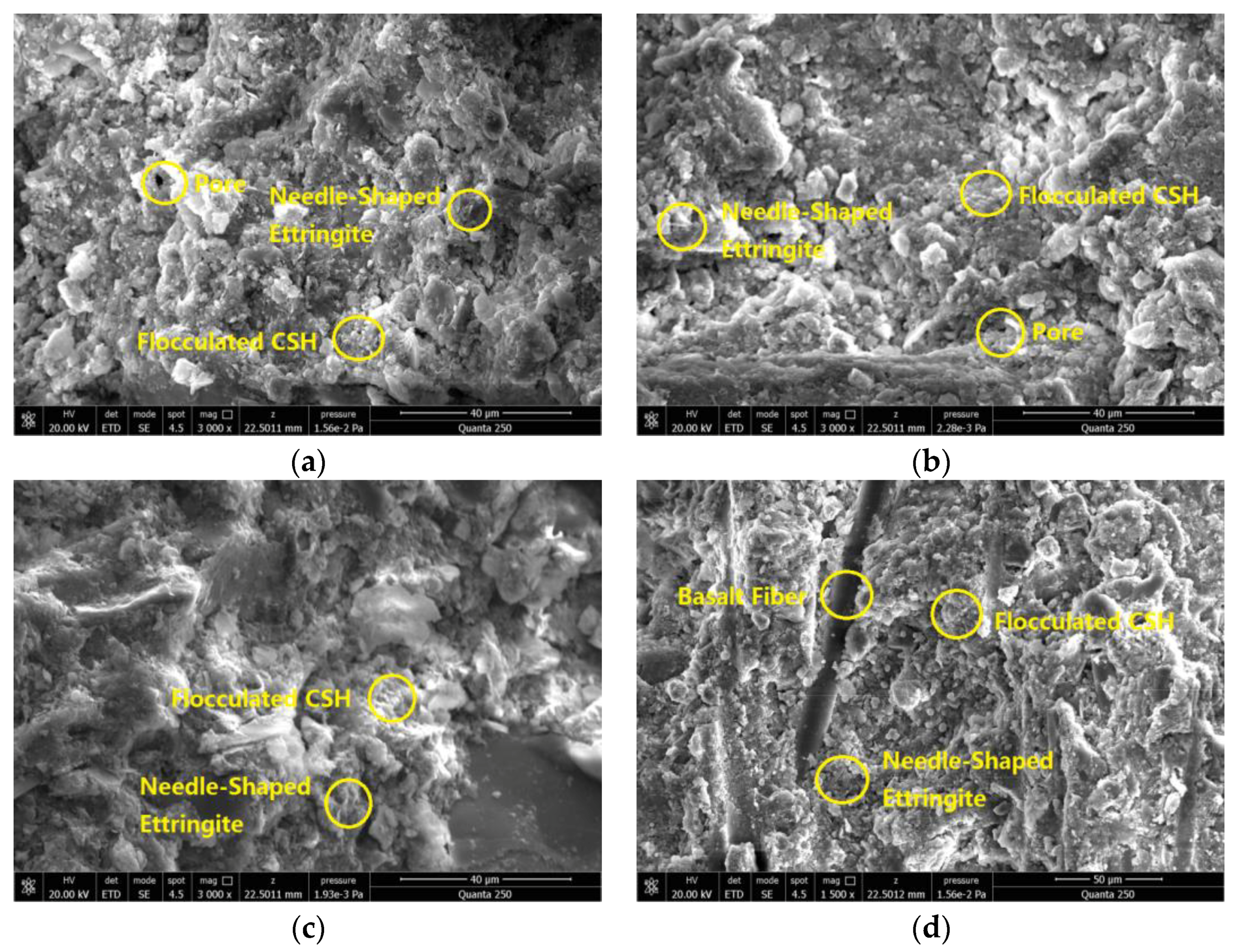 Coatings 13 00532 g013 550