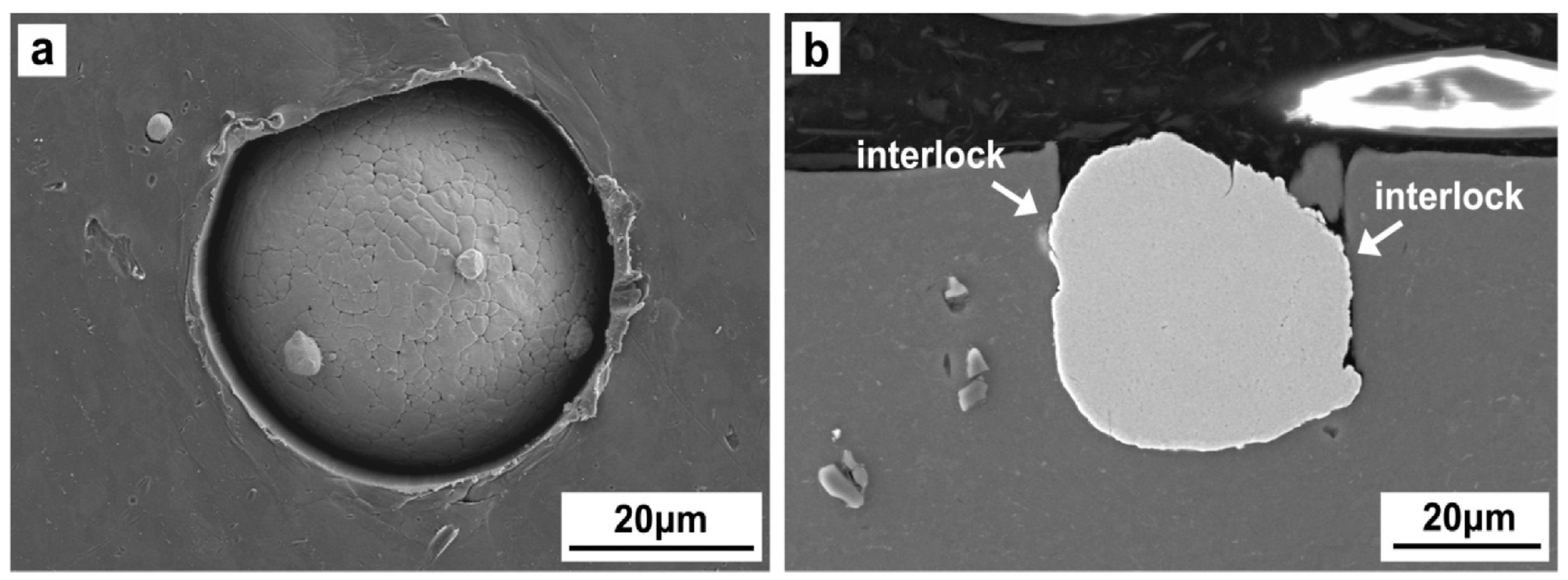 Coatings 13 00538 g017 Coatings 13 00538 g017