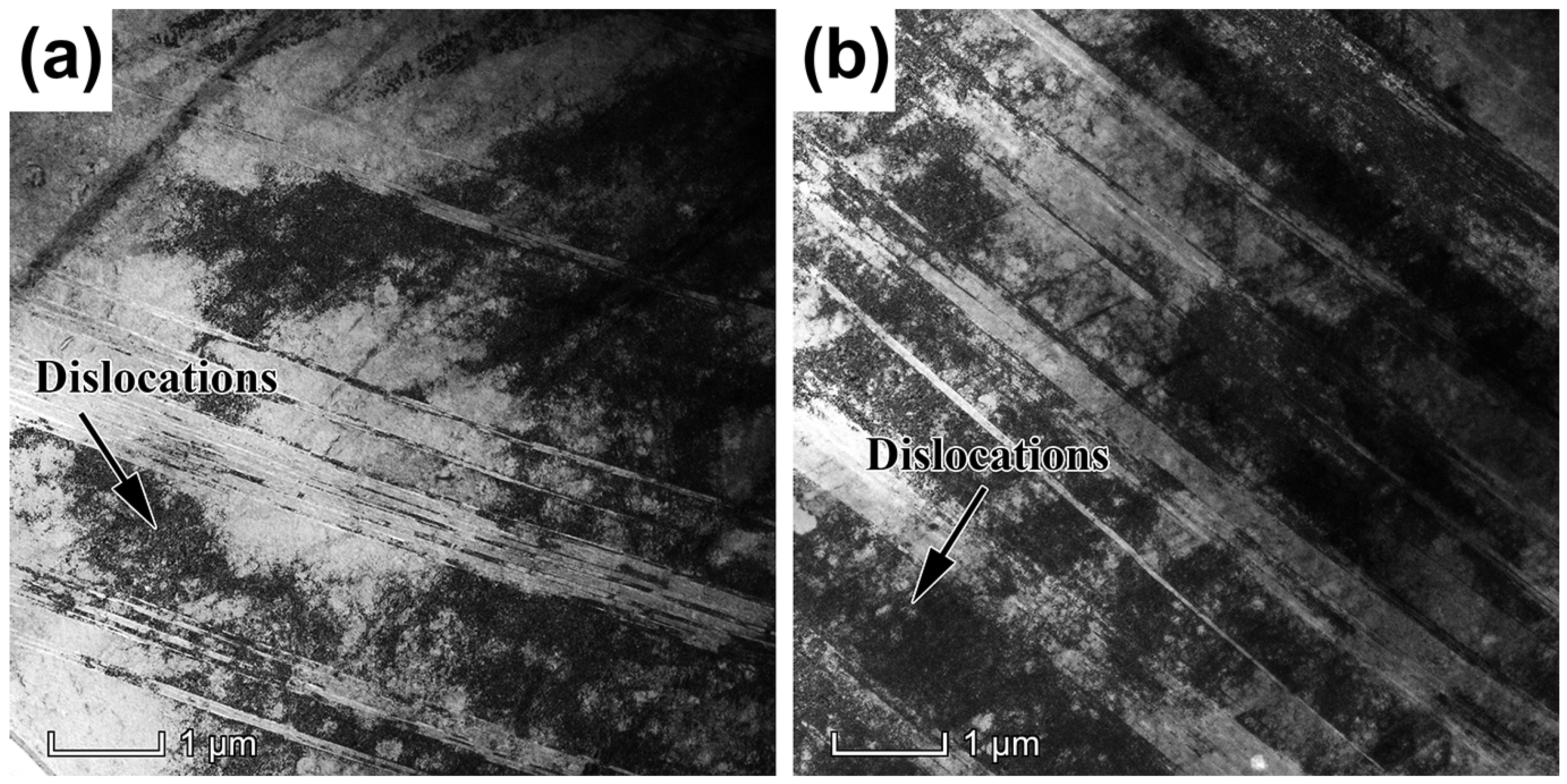 Coatings 13 00539 g006