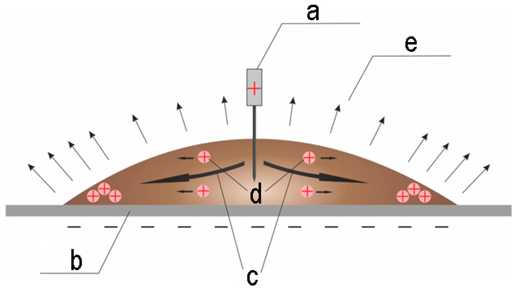 Coatings 13 00540 g006