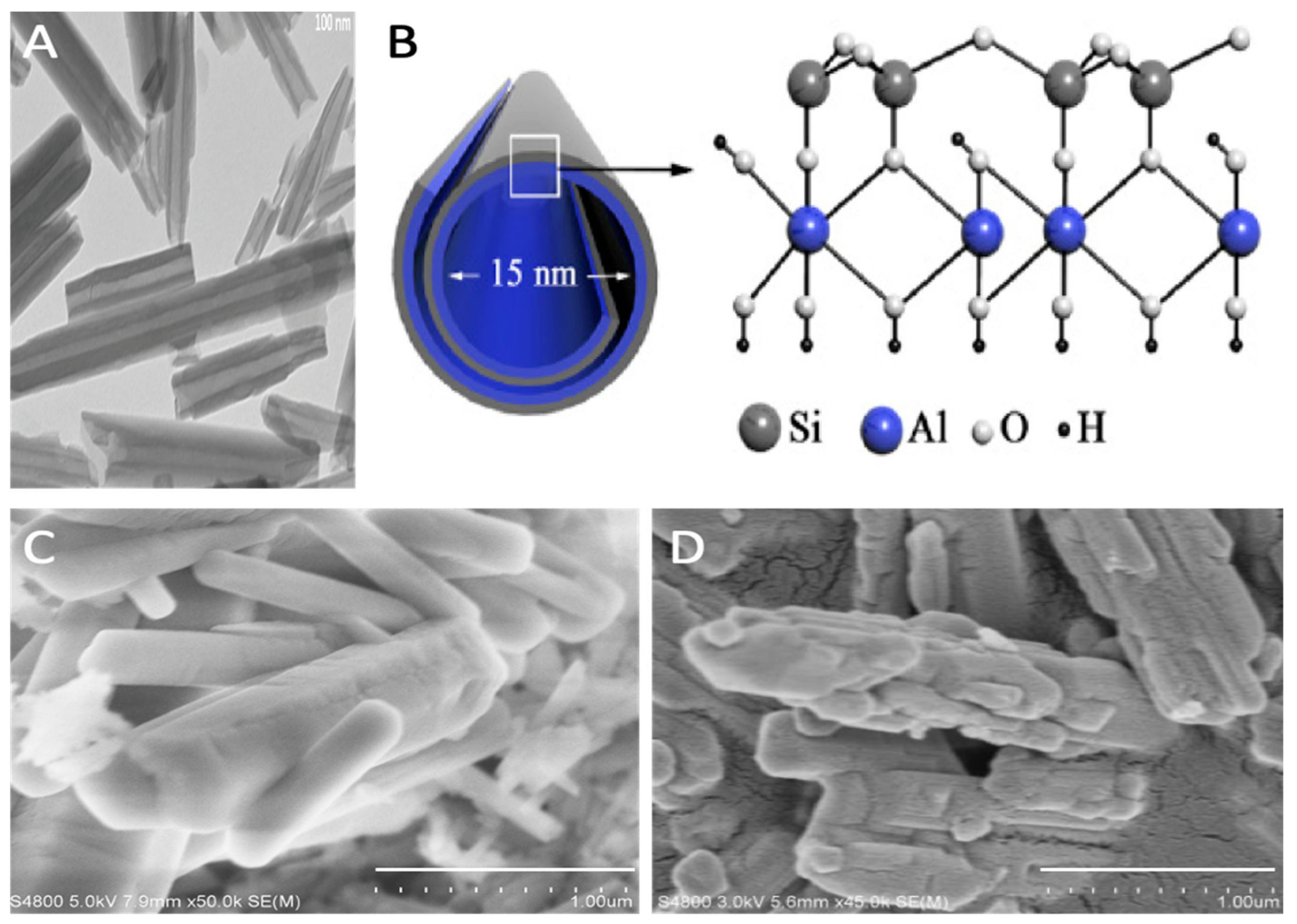 Coatings 13 00542 g001