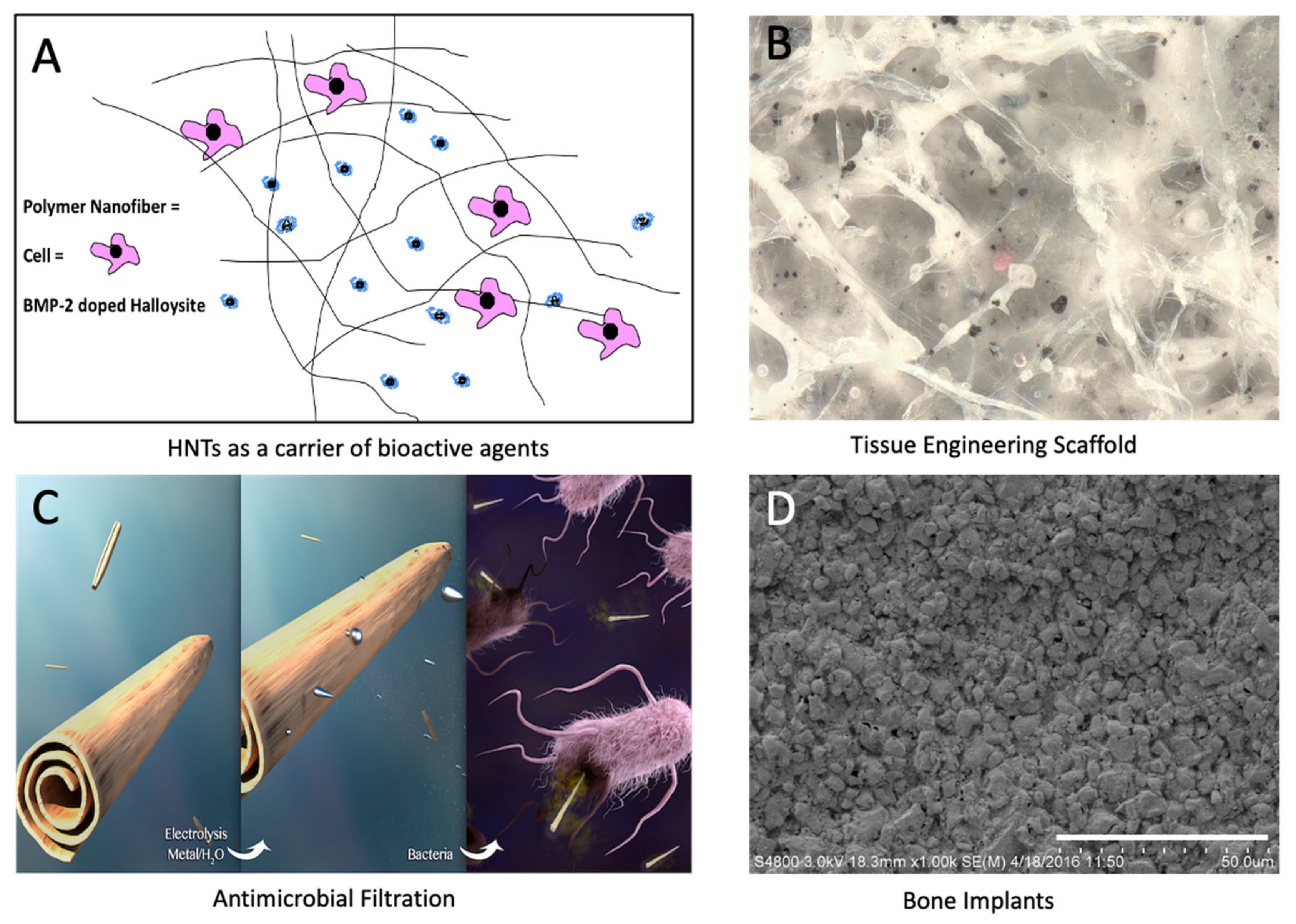 Coatings 13 00542 g002