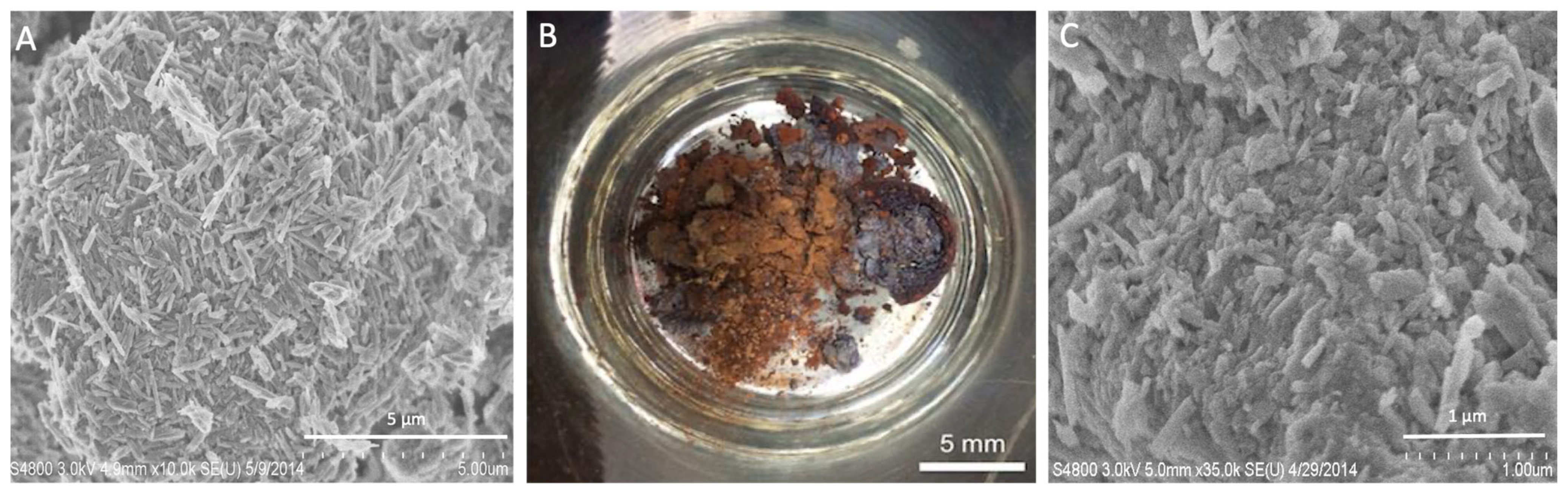 Coatings 13 00542 g003