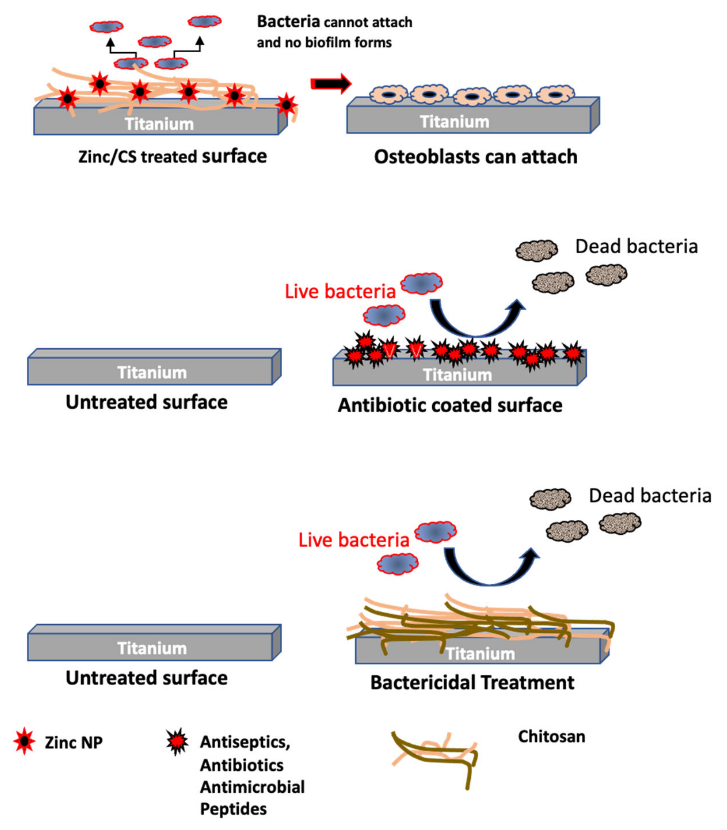 Coatings 13 00542 g005
