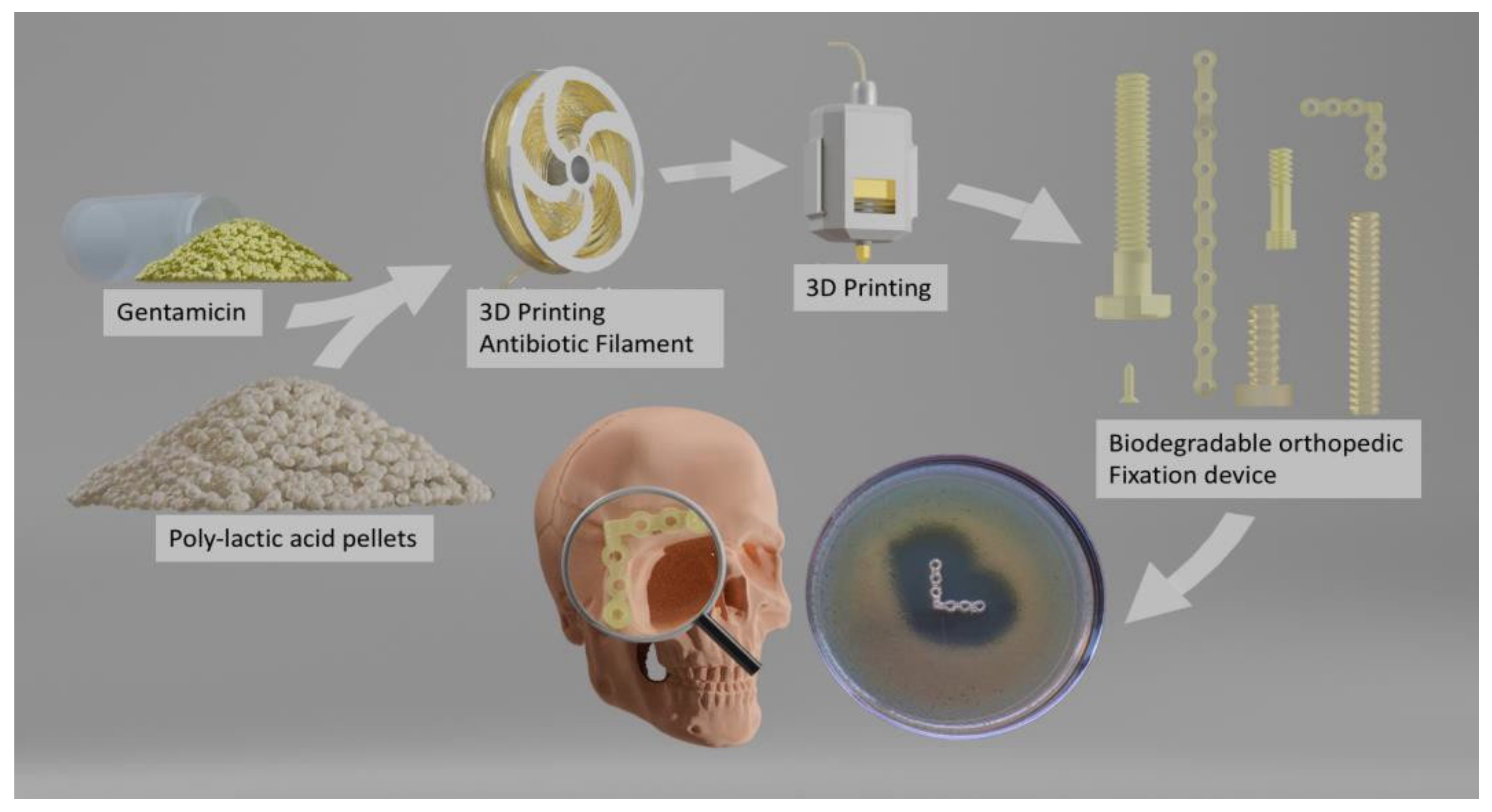 Coatings 13 00542 g006