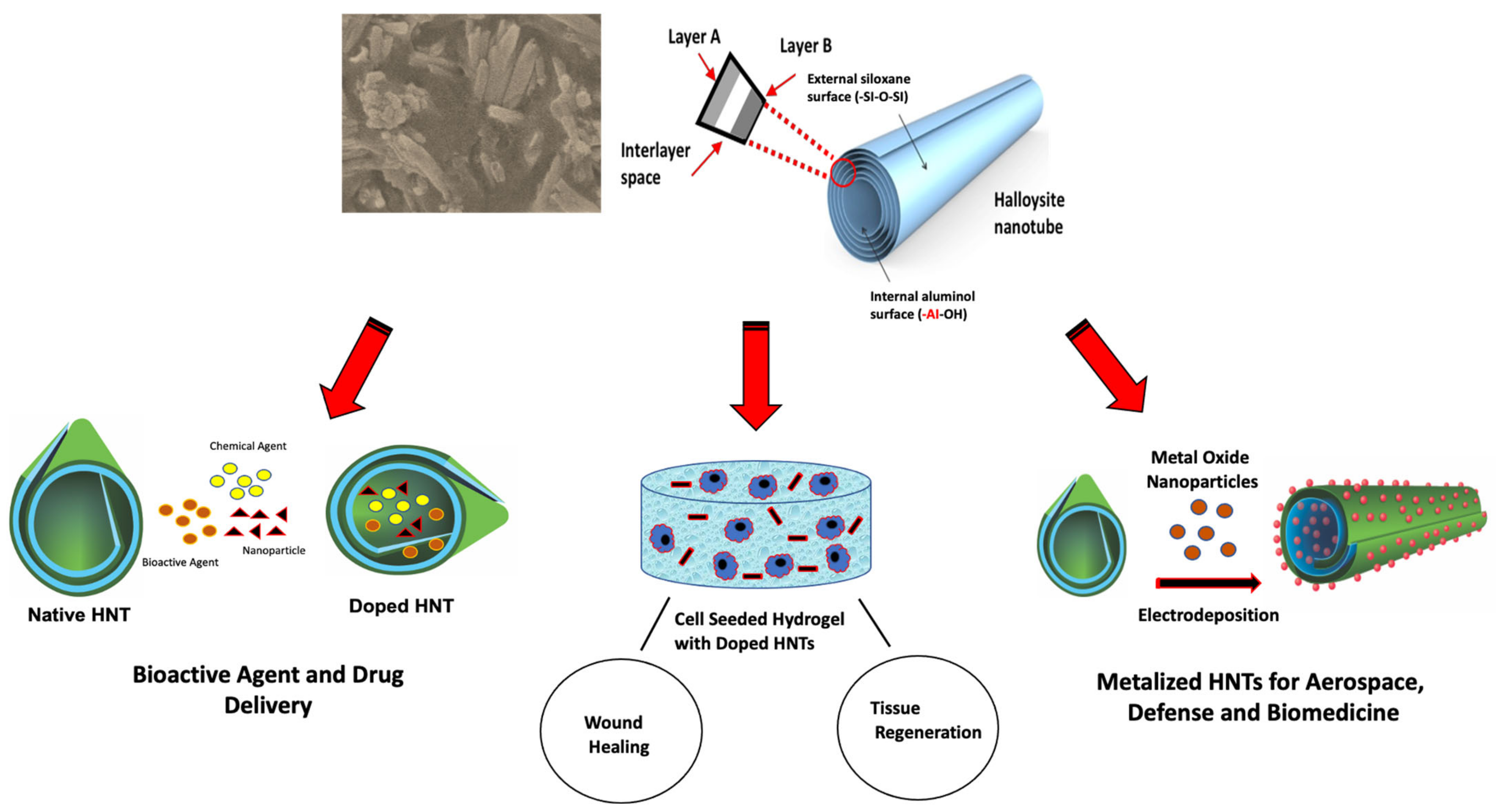 Coatings 13 00542 g008