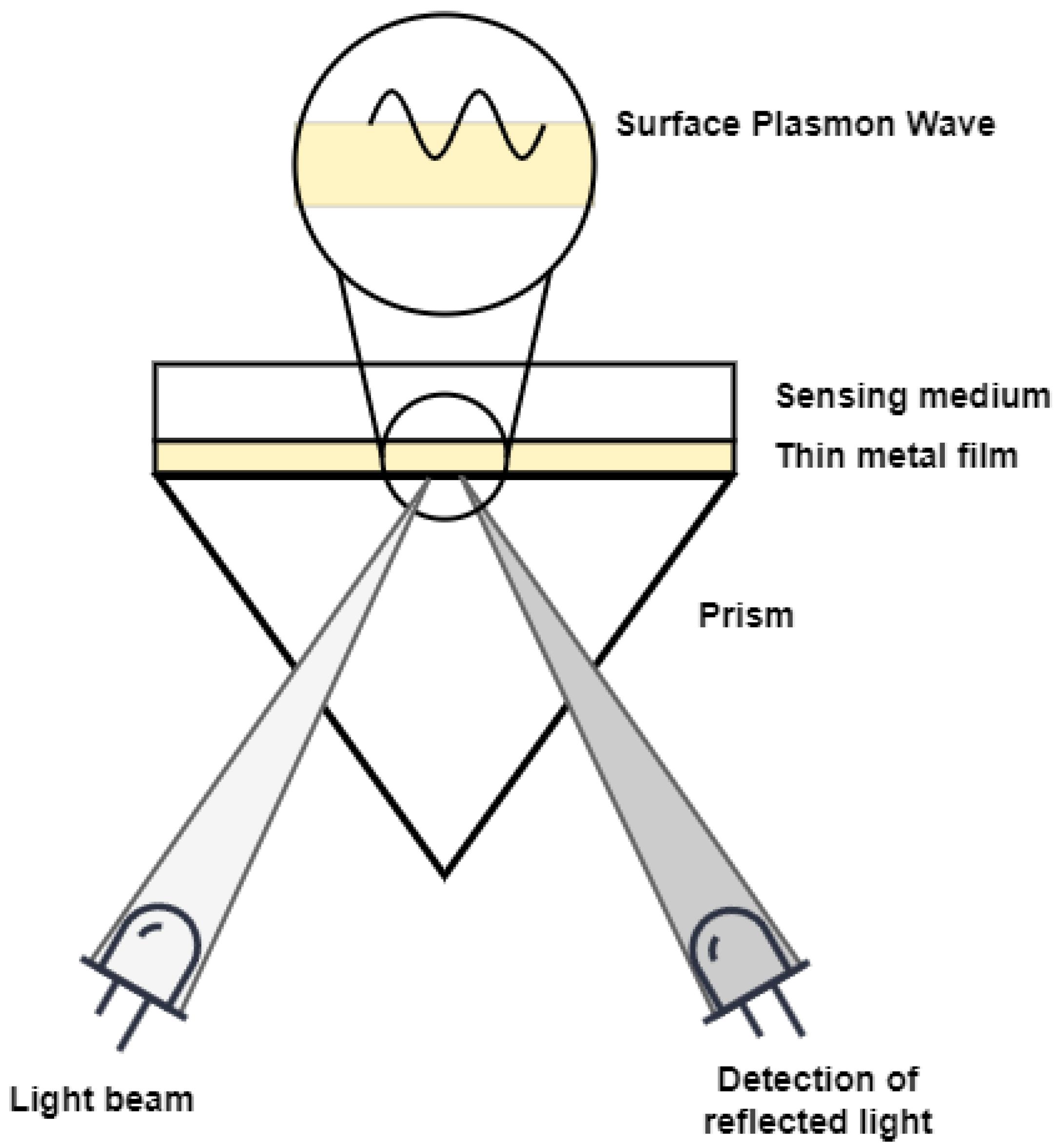 Coatings 13 00546 g005