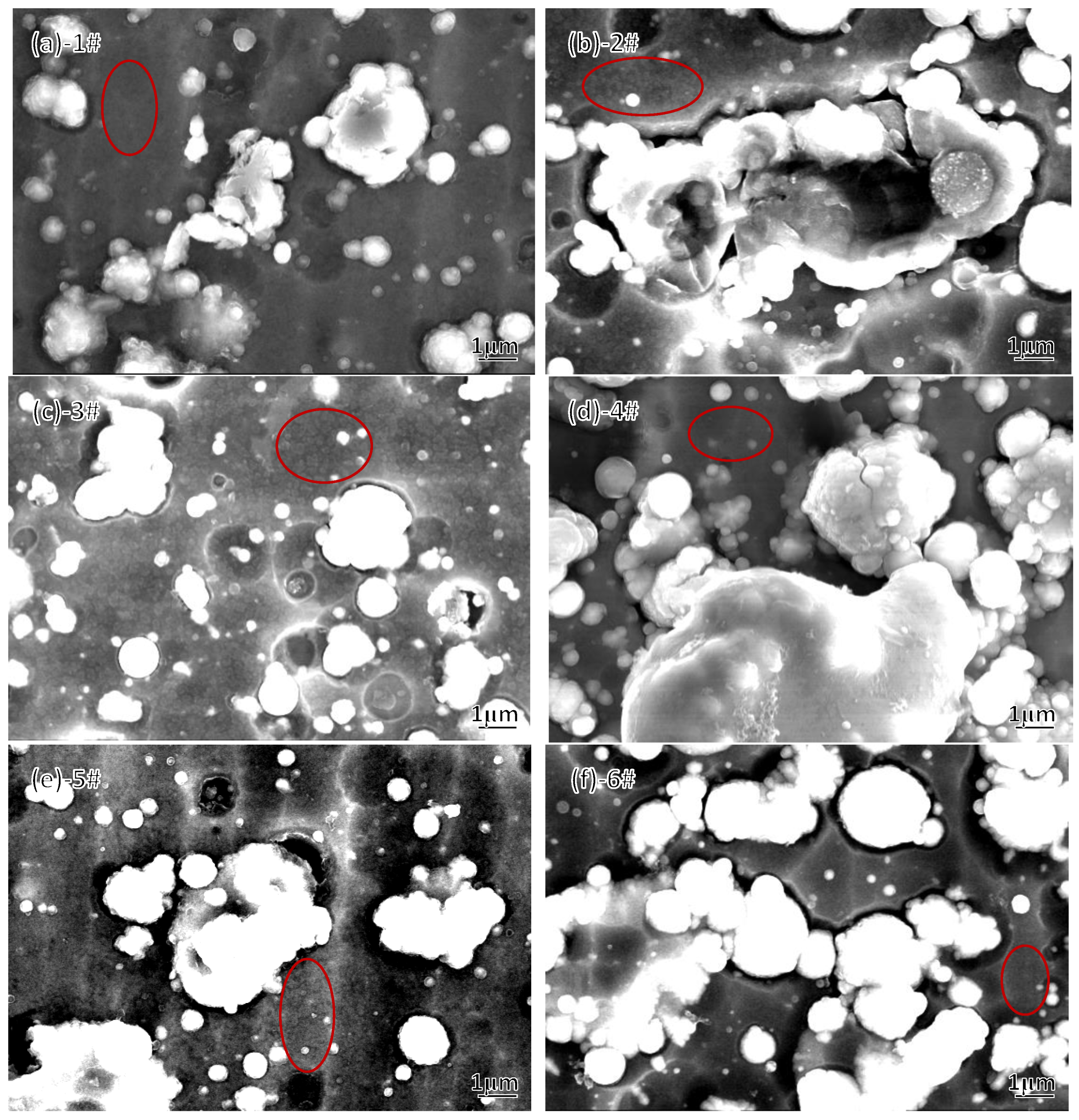 Coatings 13 00547 g013 Coatings 13 00547 g013