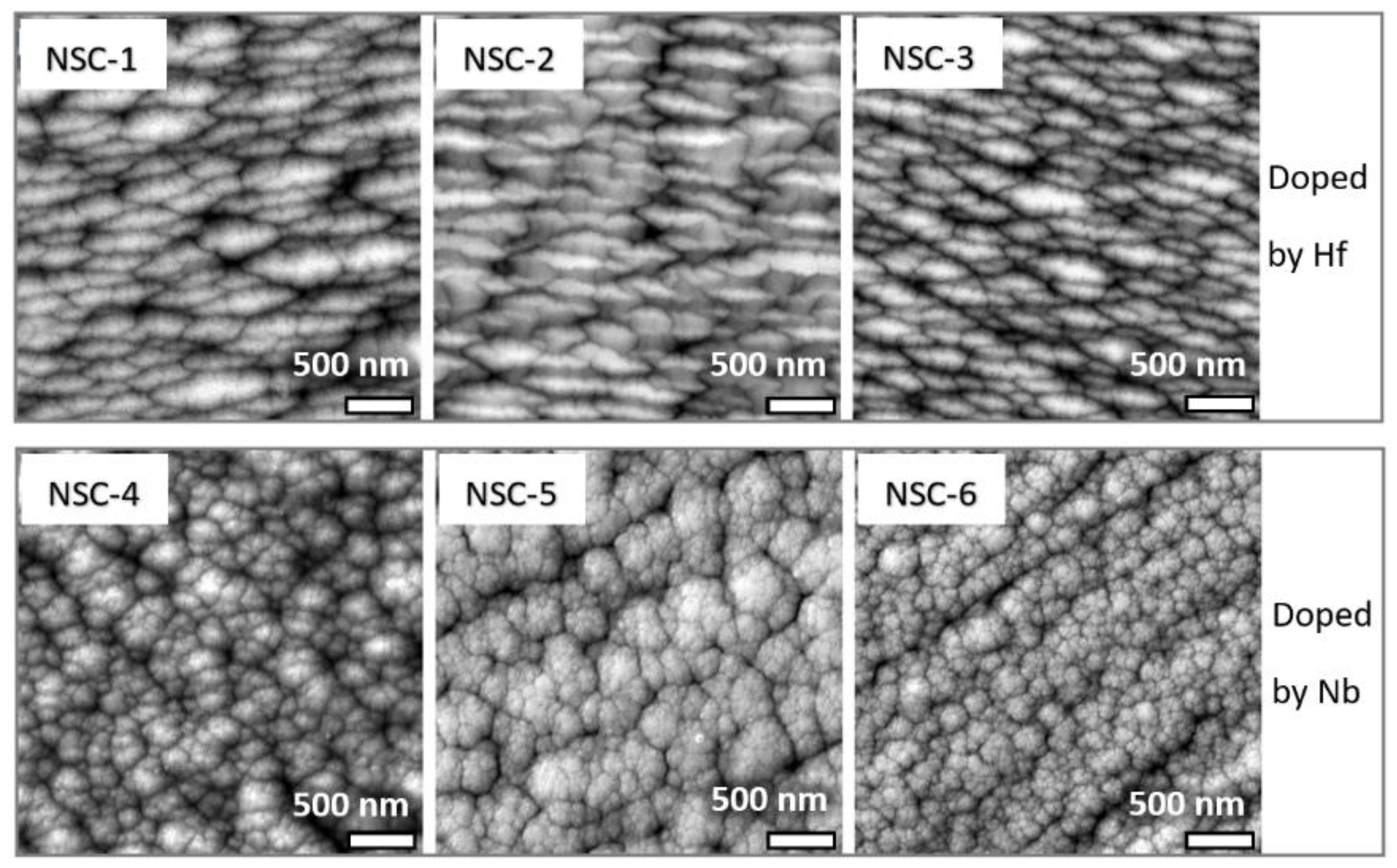 Coatings 13 00552 g002