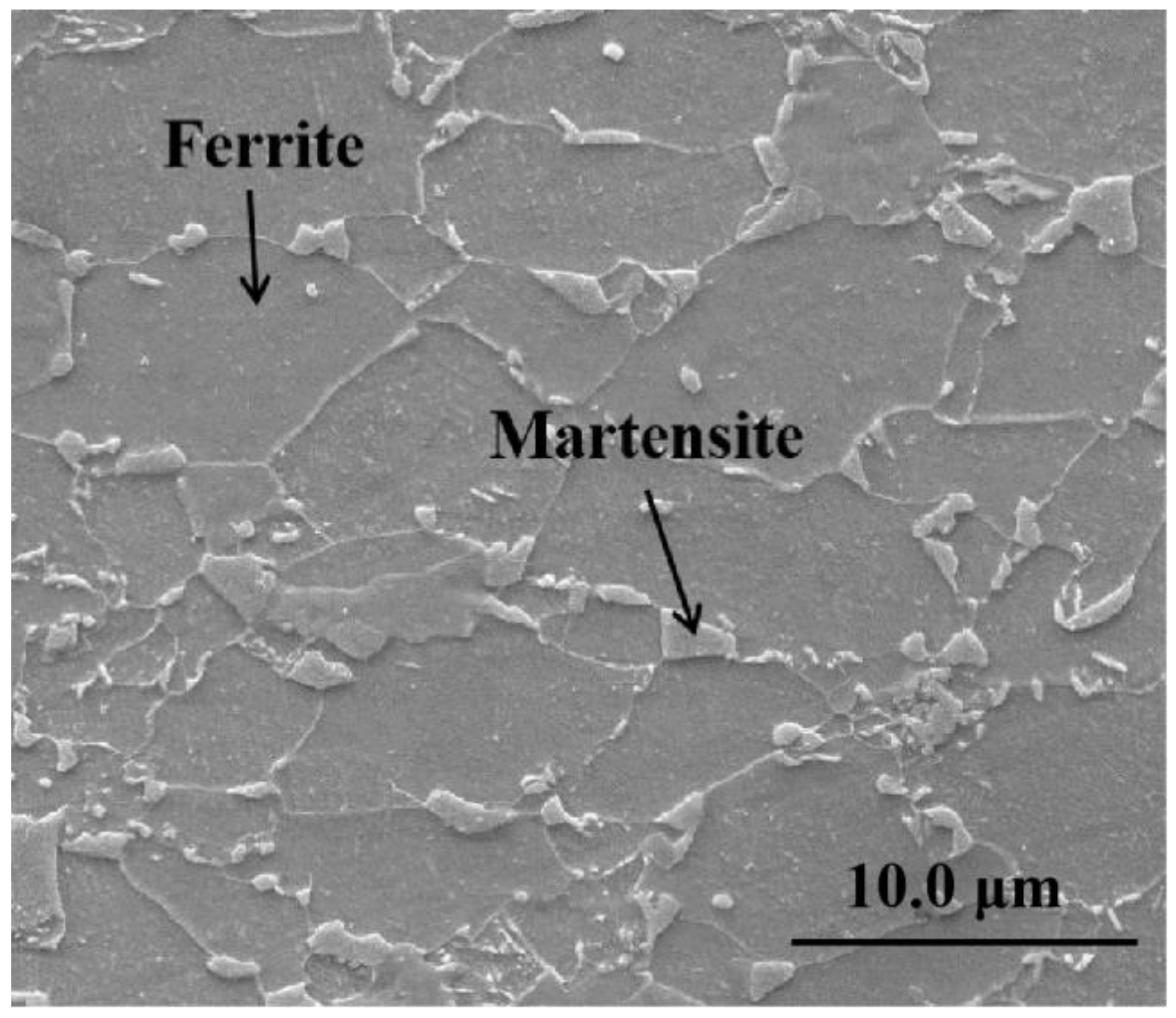 Coatings 13 00553 g002