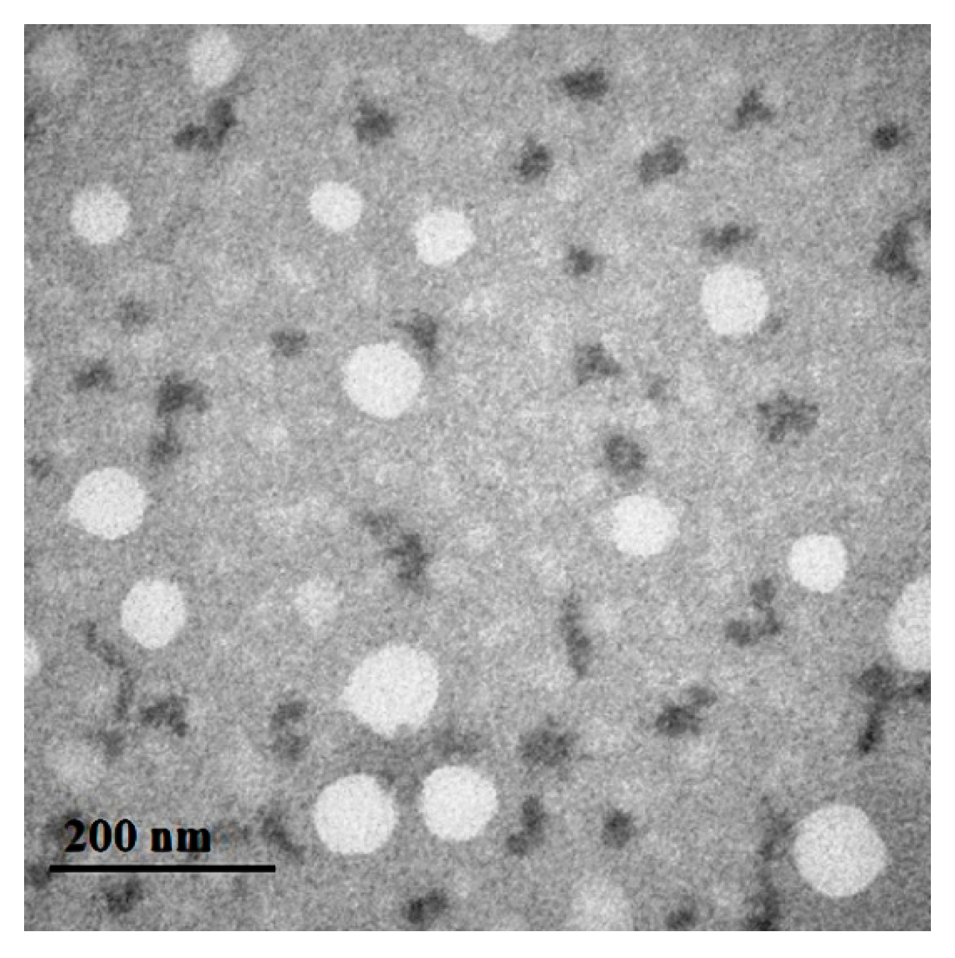 Coatings 13 00557 g003 Coatings 13 00557 g003