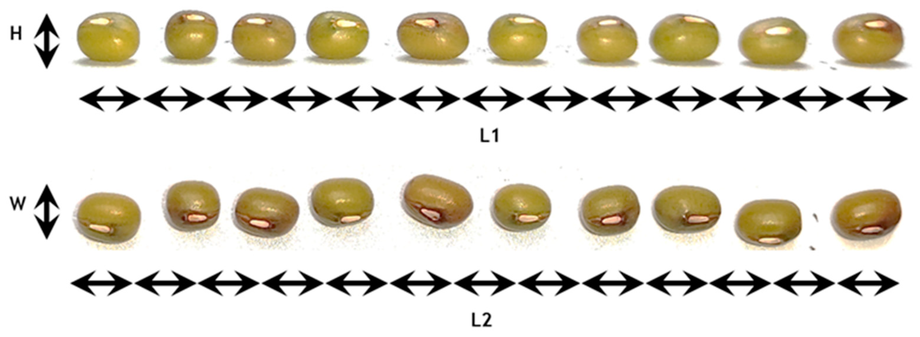 Coatings 13 00562 g003 Coatings 13 00562 g003