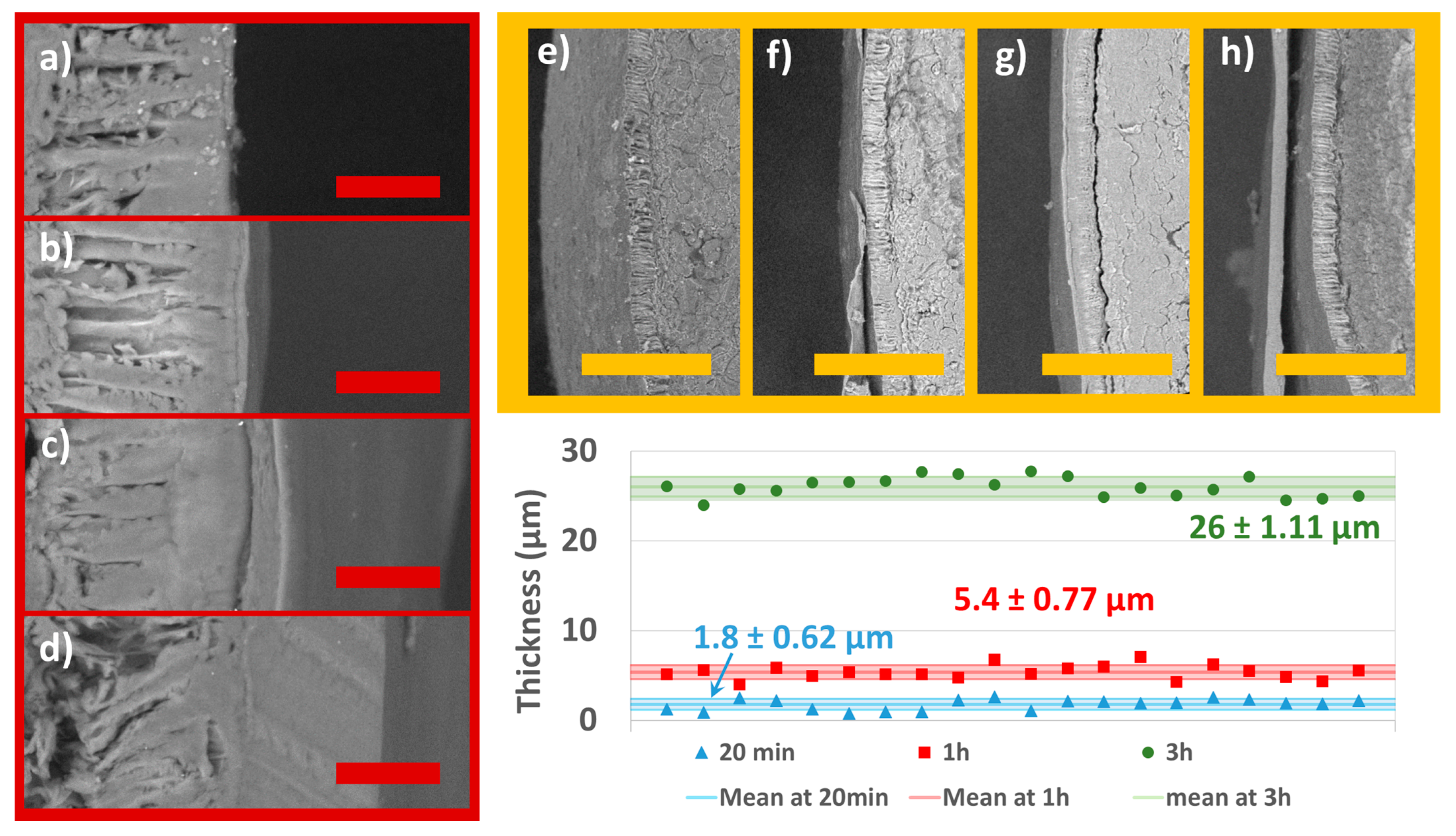 Coatings 13 00562 g006 Coatings 13 00562 g006