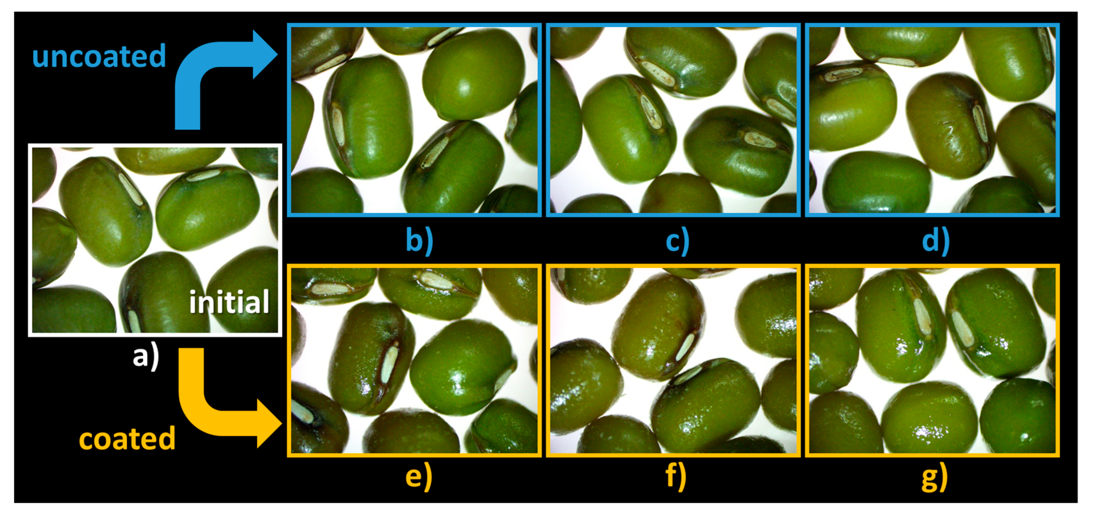 Coatings 13 00562 g007 Coatings 13 00562 g007