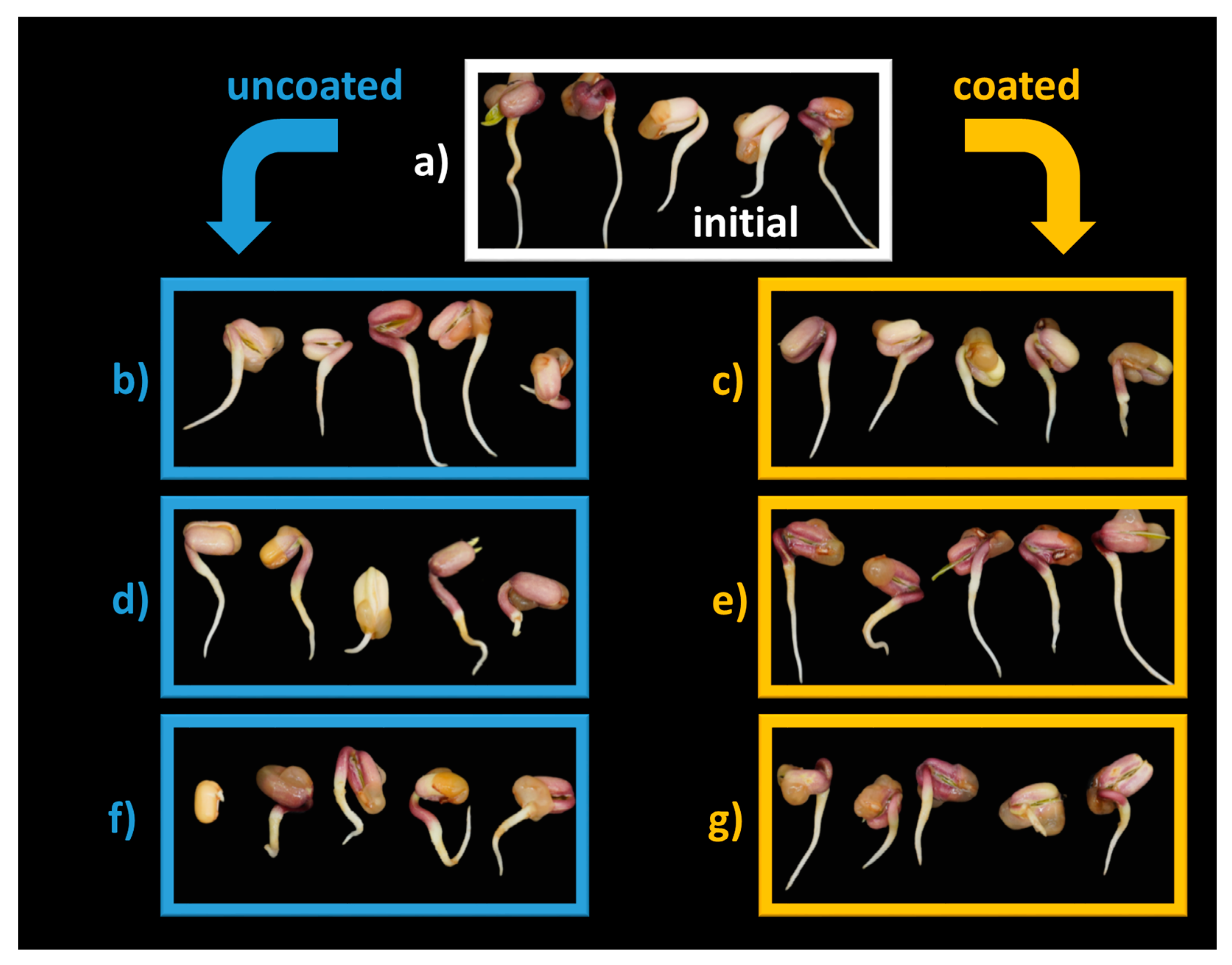 Coatings 13 00562 g008 Coatings 13 00562 g008