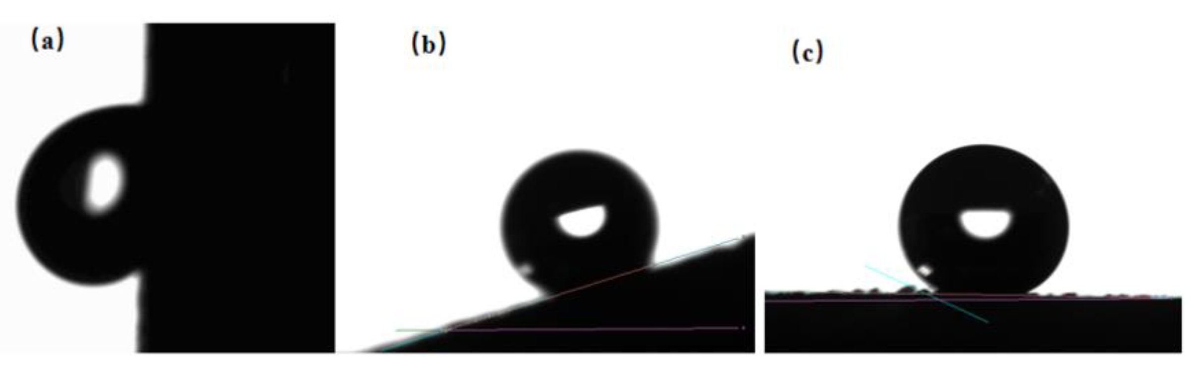 Coatings 13 00563 g009