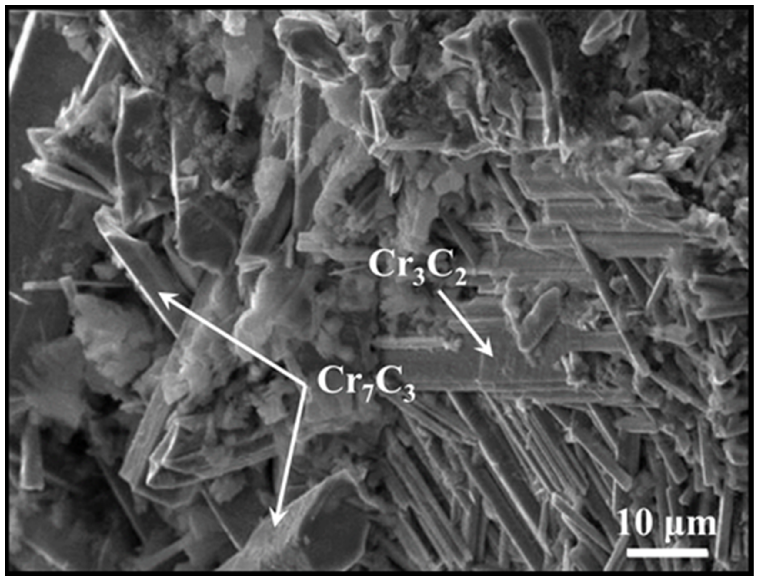 Coatings 13 00565 g007
