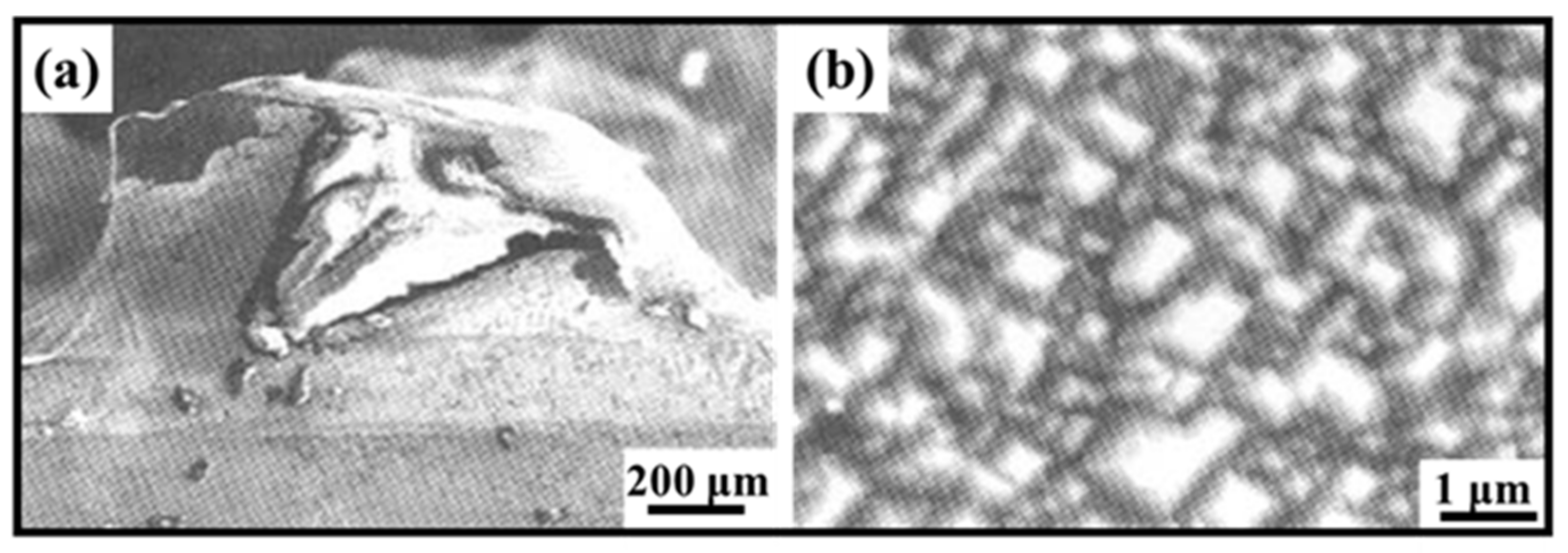 Coatings 13 00565 g009