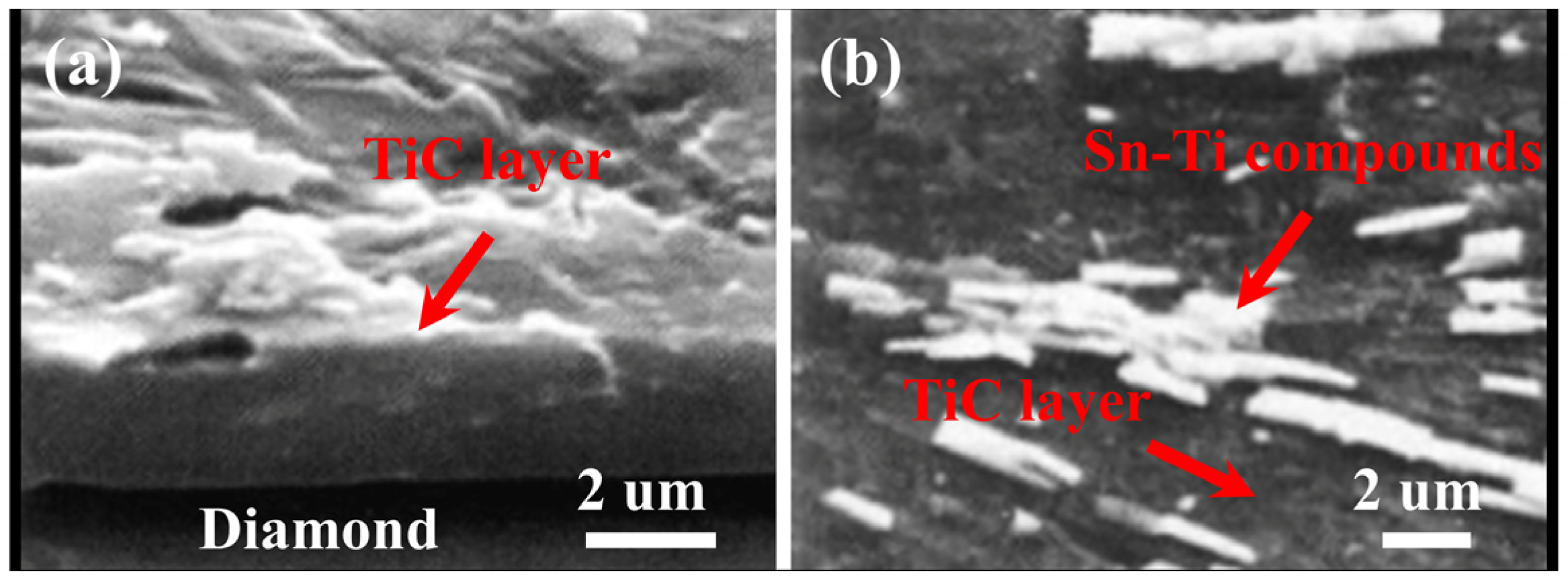 Coatings 13 00565 g014