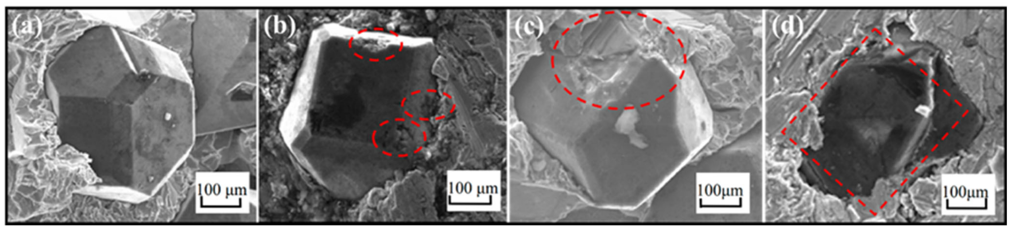 Coatings 13 00565 g021