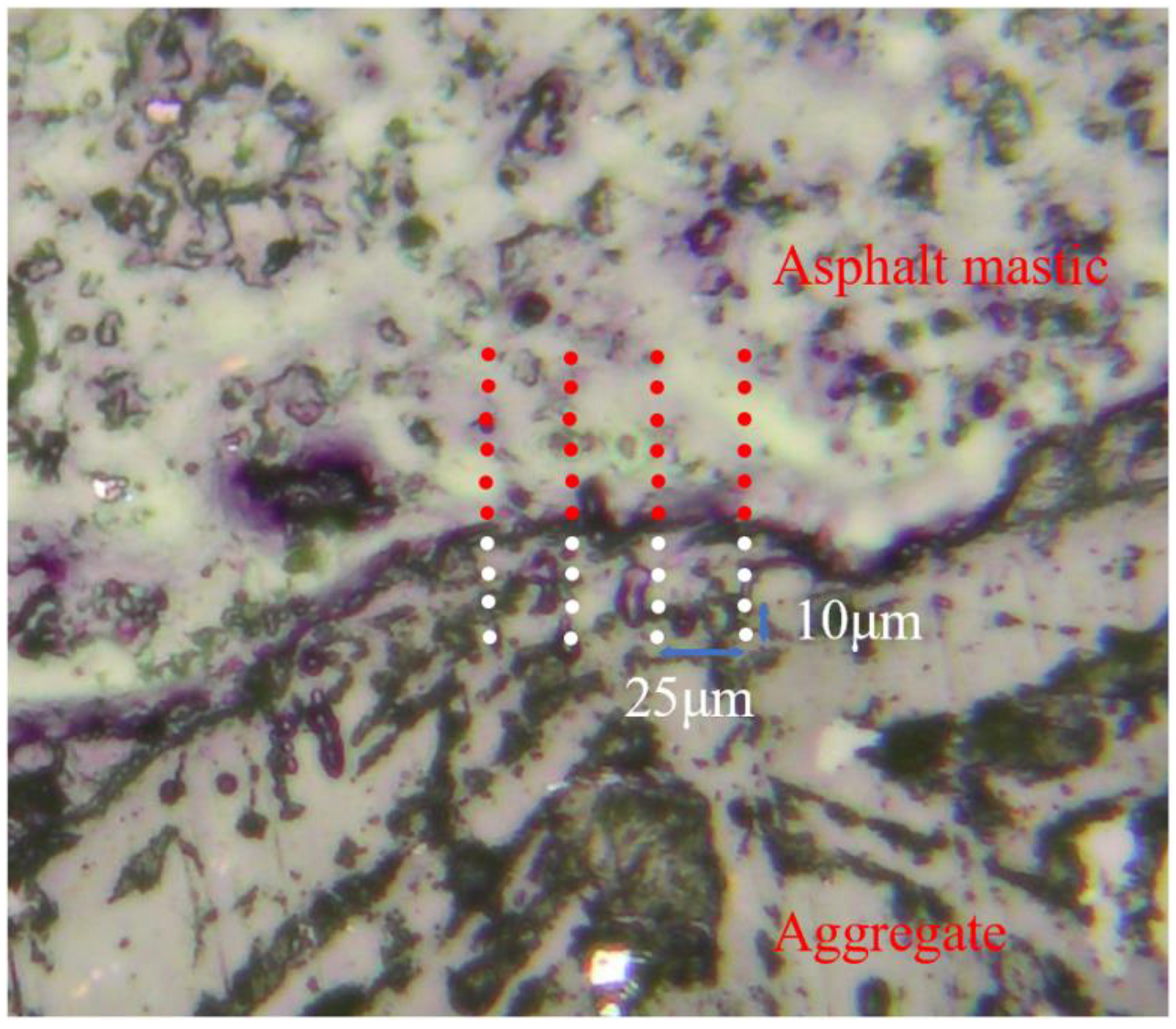 Coatings 13 00566 g003