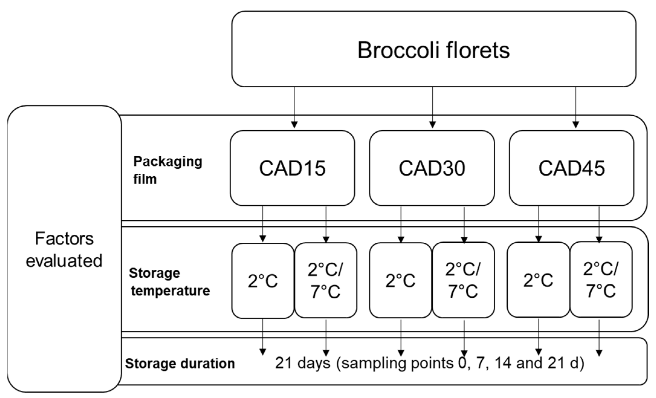 Coatings 13 00568 g001 Coatings 13 00568 g001
